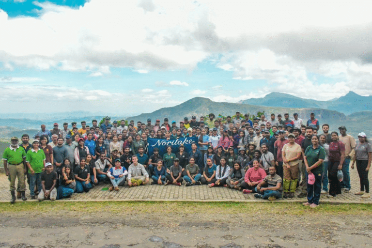 Another Step In Forest Restoration Program