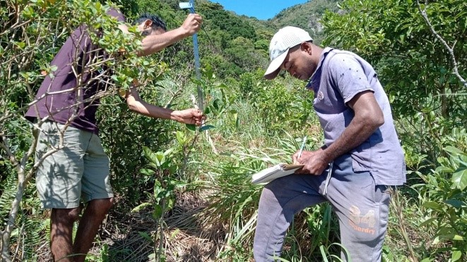 Site Preparation for Scheduled Restoration of Forest Activity