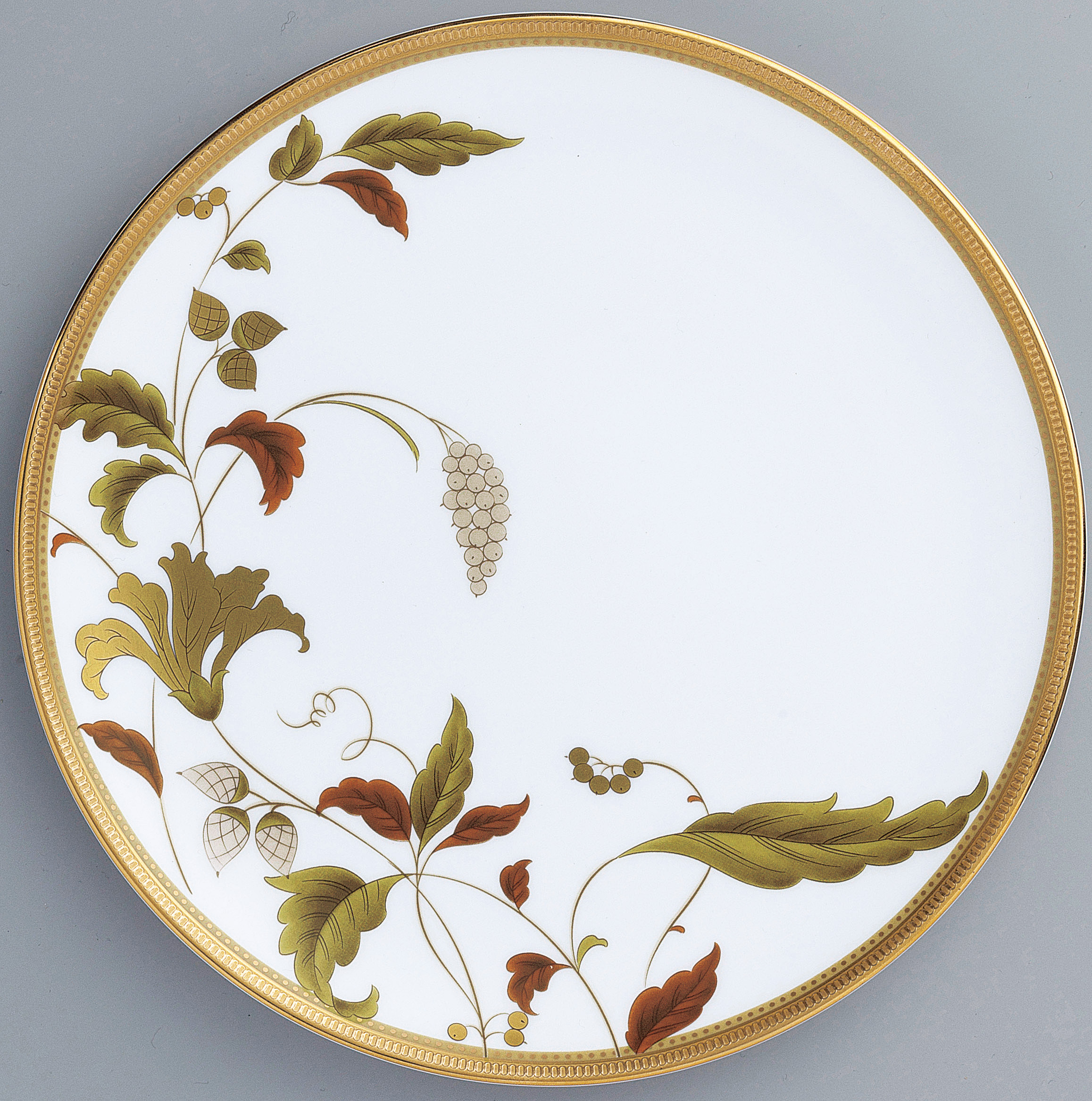 4885/50116A Coupe Plate