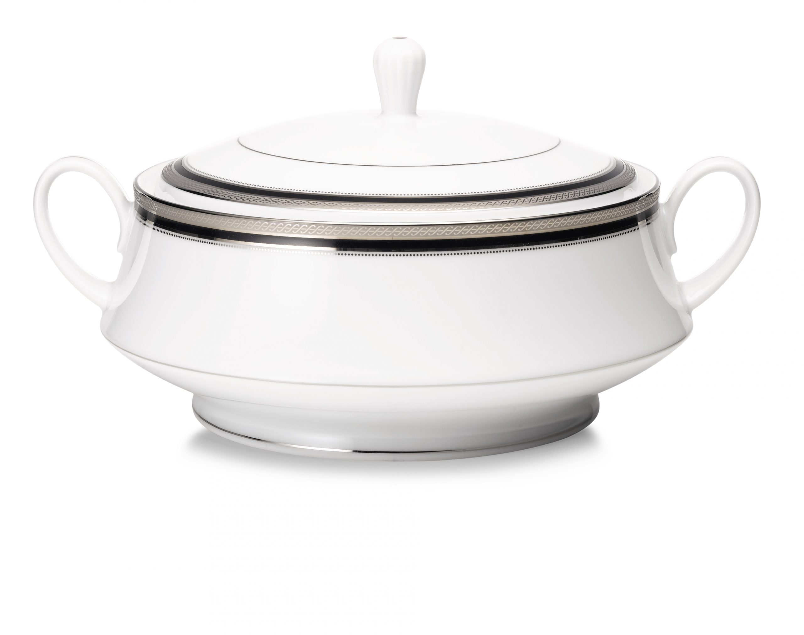 4360L- 91129/ Covered Vegetable