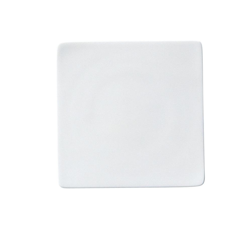 7976/95353 Square Plate