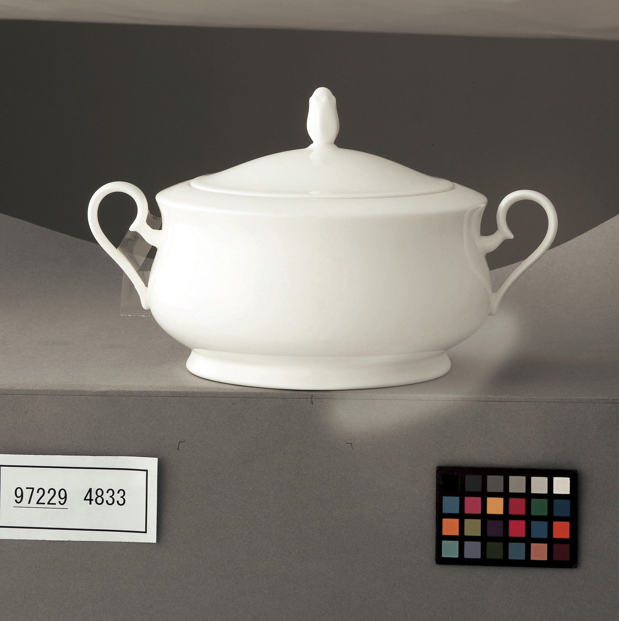 4833/97229 Covered Vegetable