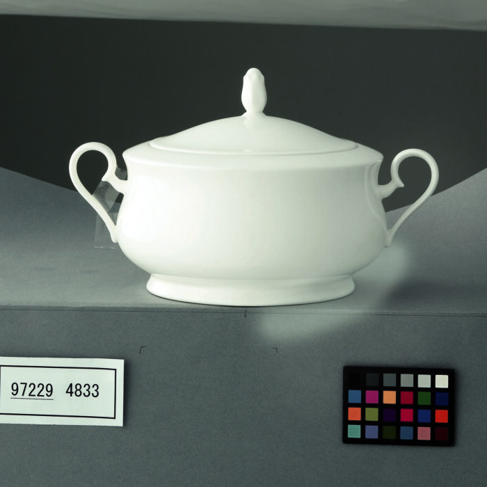 4833_97229_CoveredVeg