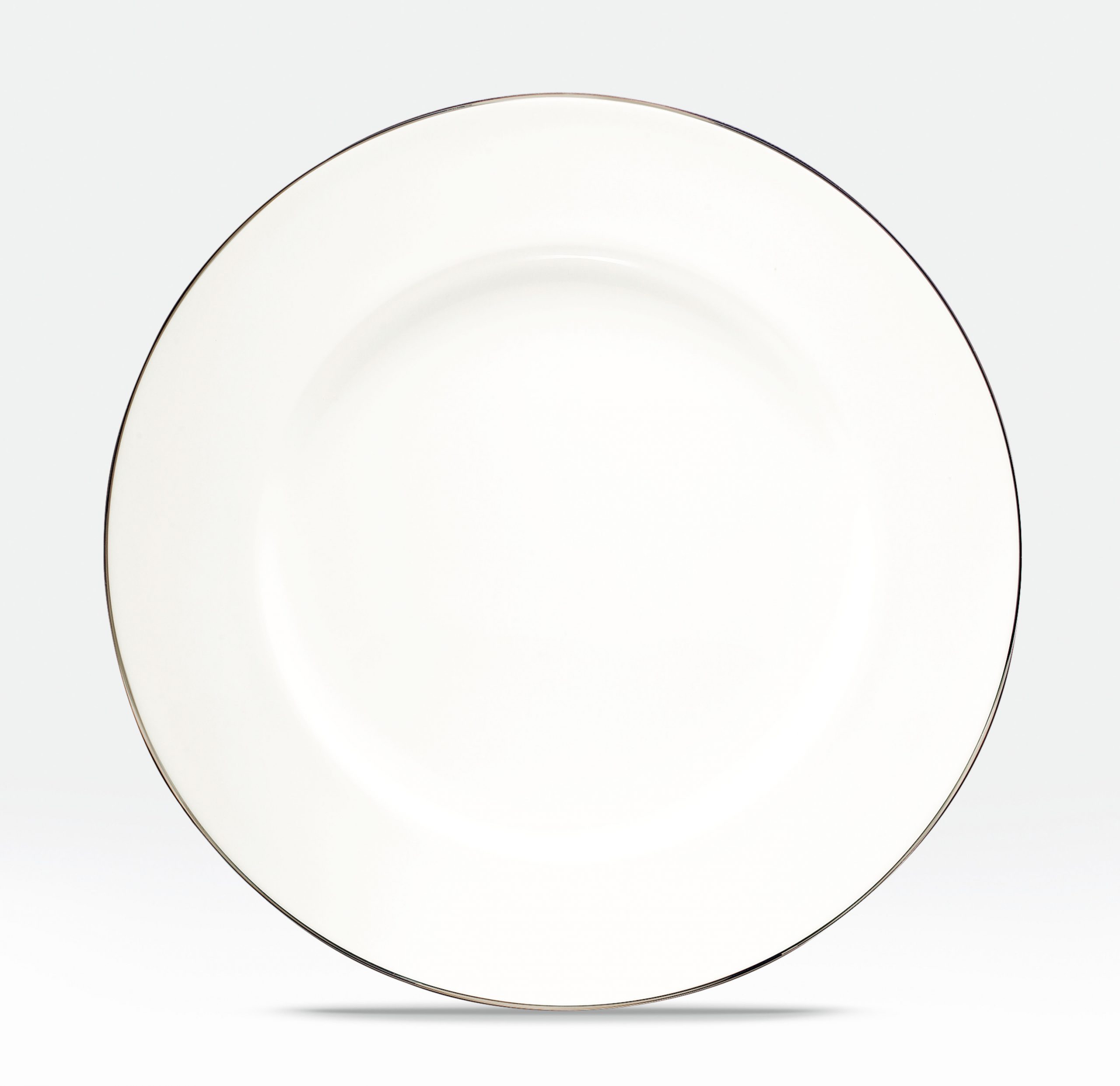 4839/97320 Dinner Plate