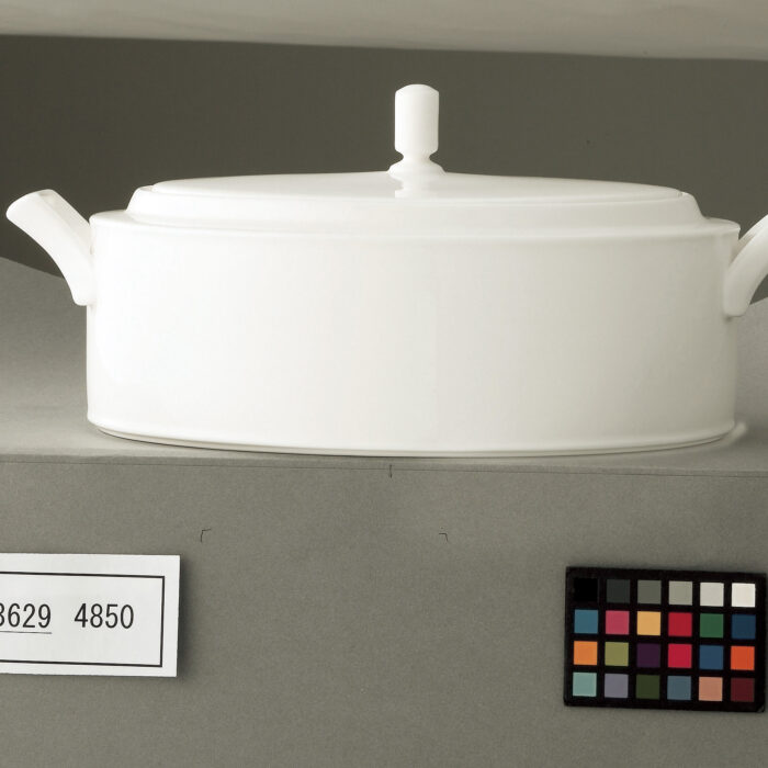 4850_93629_CoveredVeg