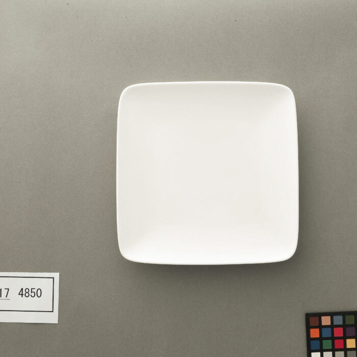 4850_97317 97318_SQ_1