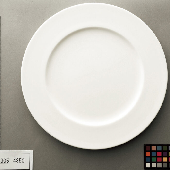 4850系のプレート