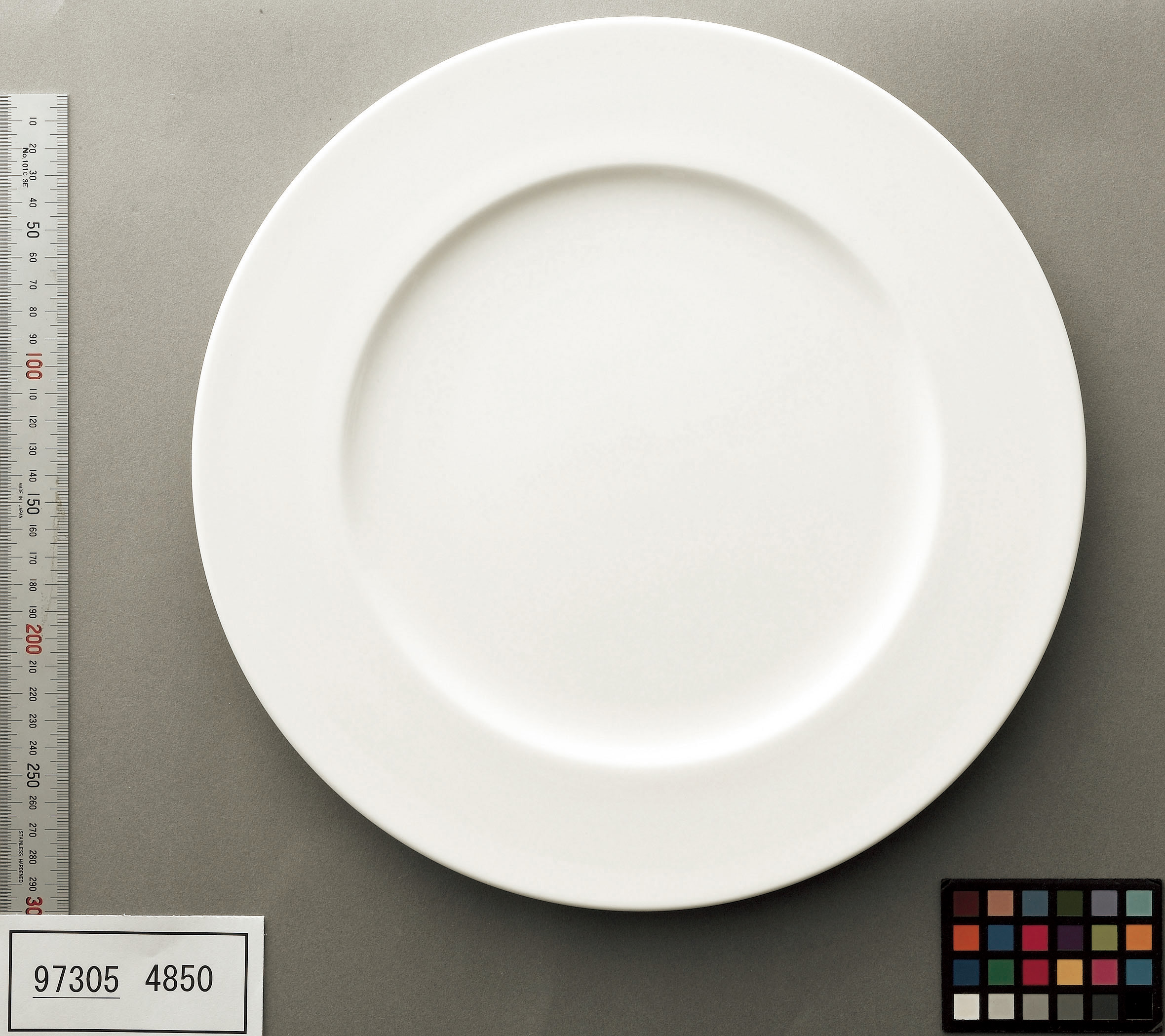 4850/97320 Dinner Plate