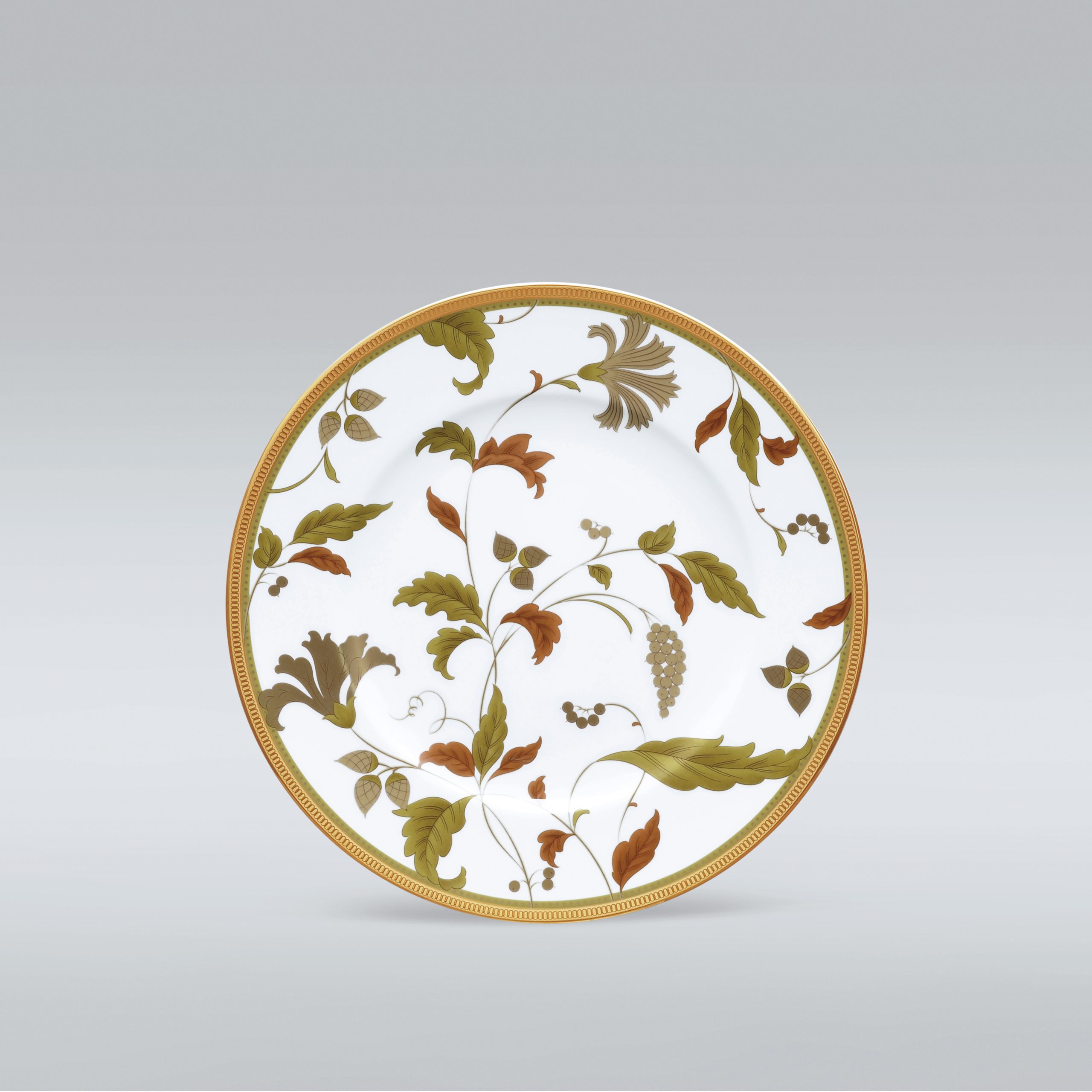 4885/97216 Accent Plate