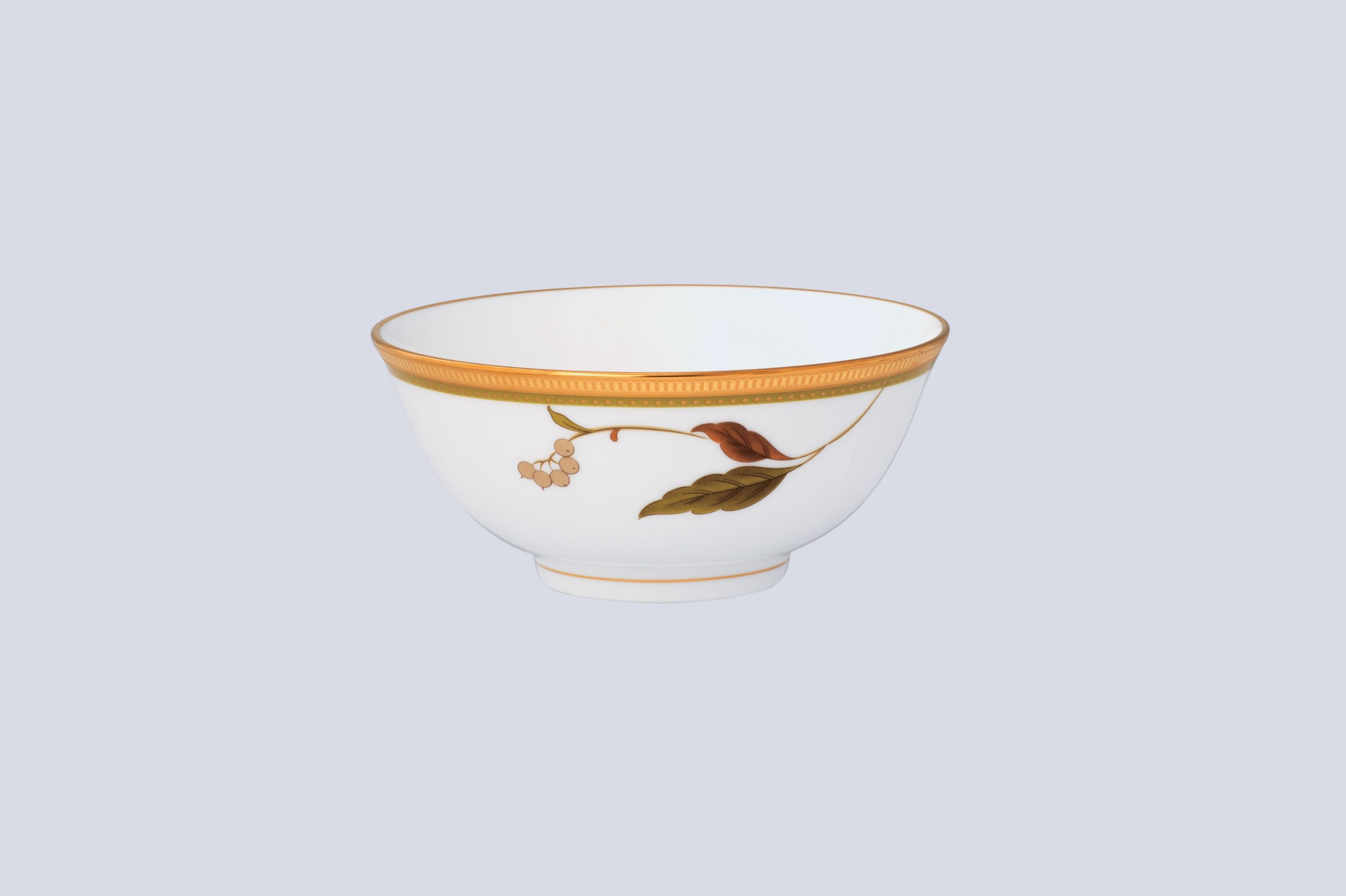 4885/50192A Noodle Bowl