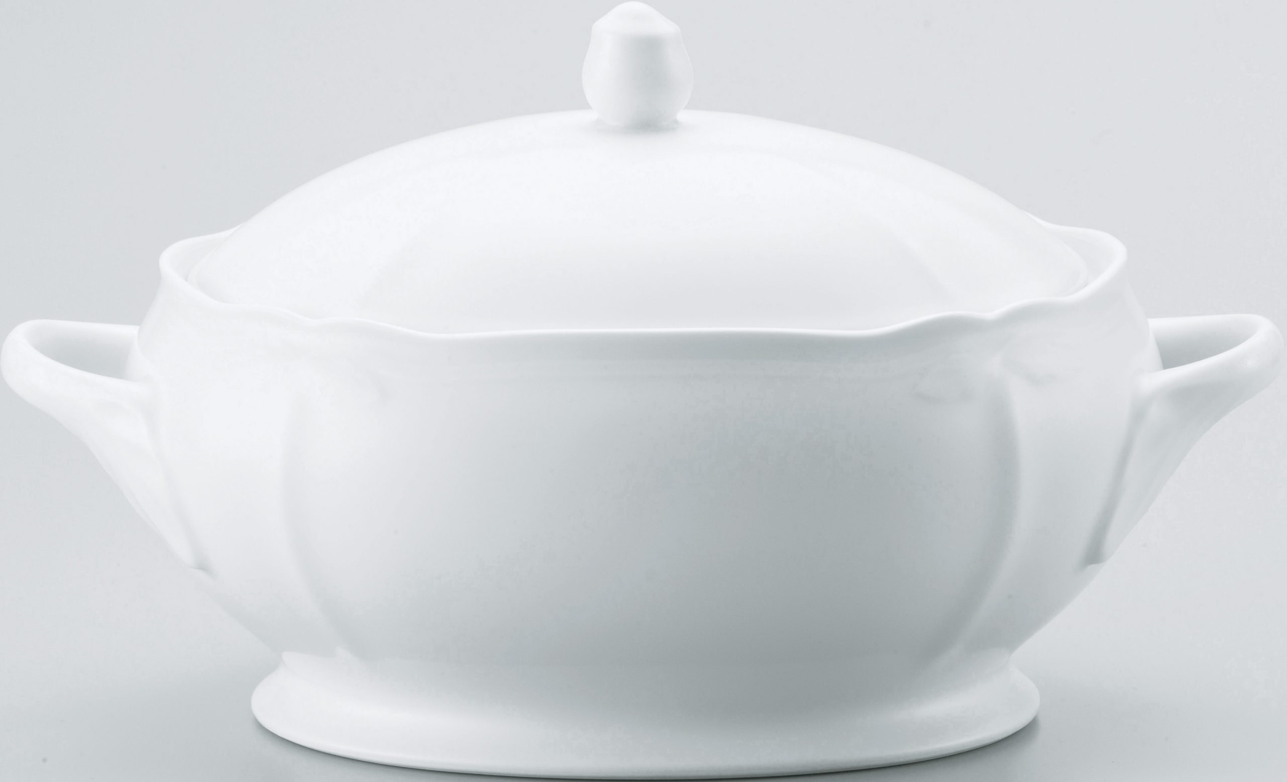 1470L/09529A Covered Vegetable