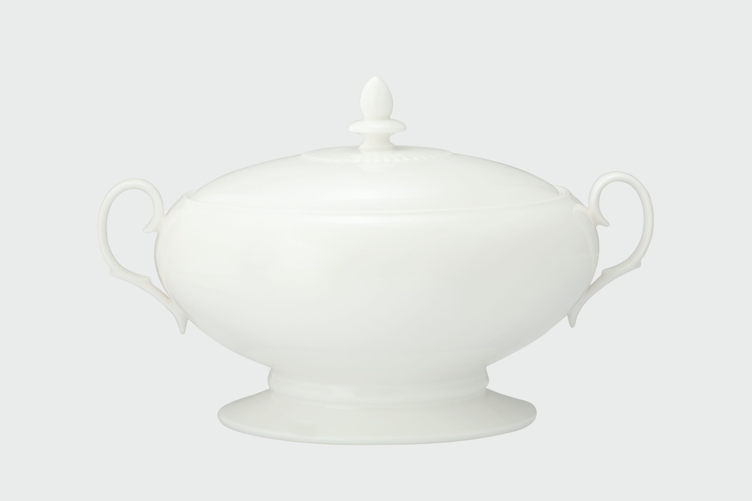 4833/50729A Covered Vegetable