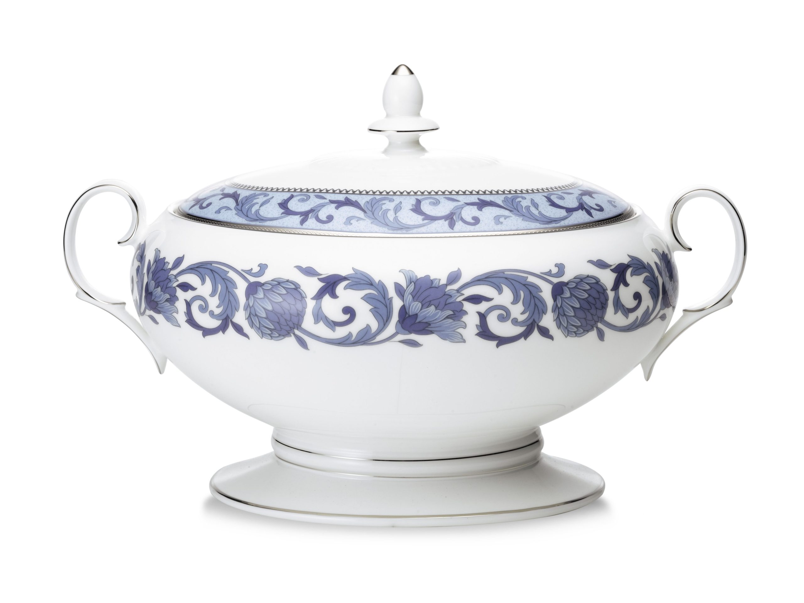 4893L- 50729A/ Covered Vegetable