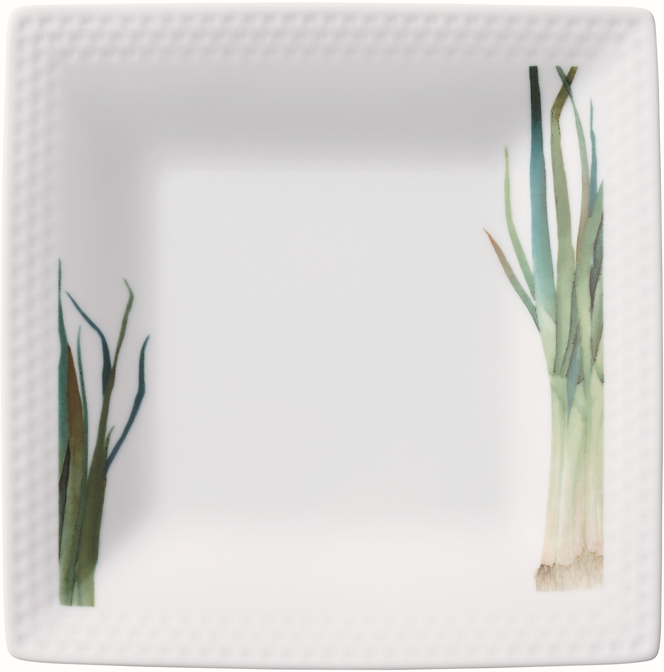 1620/1L Long Green Onion- 05340A/ Square Plate