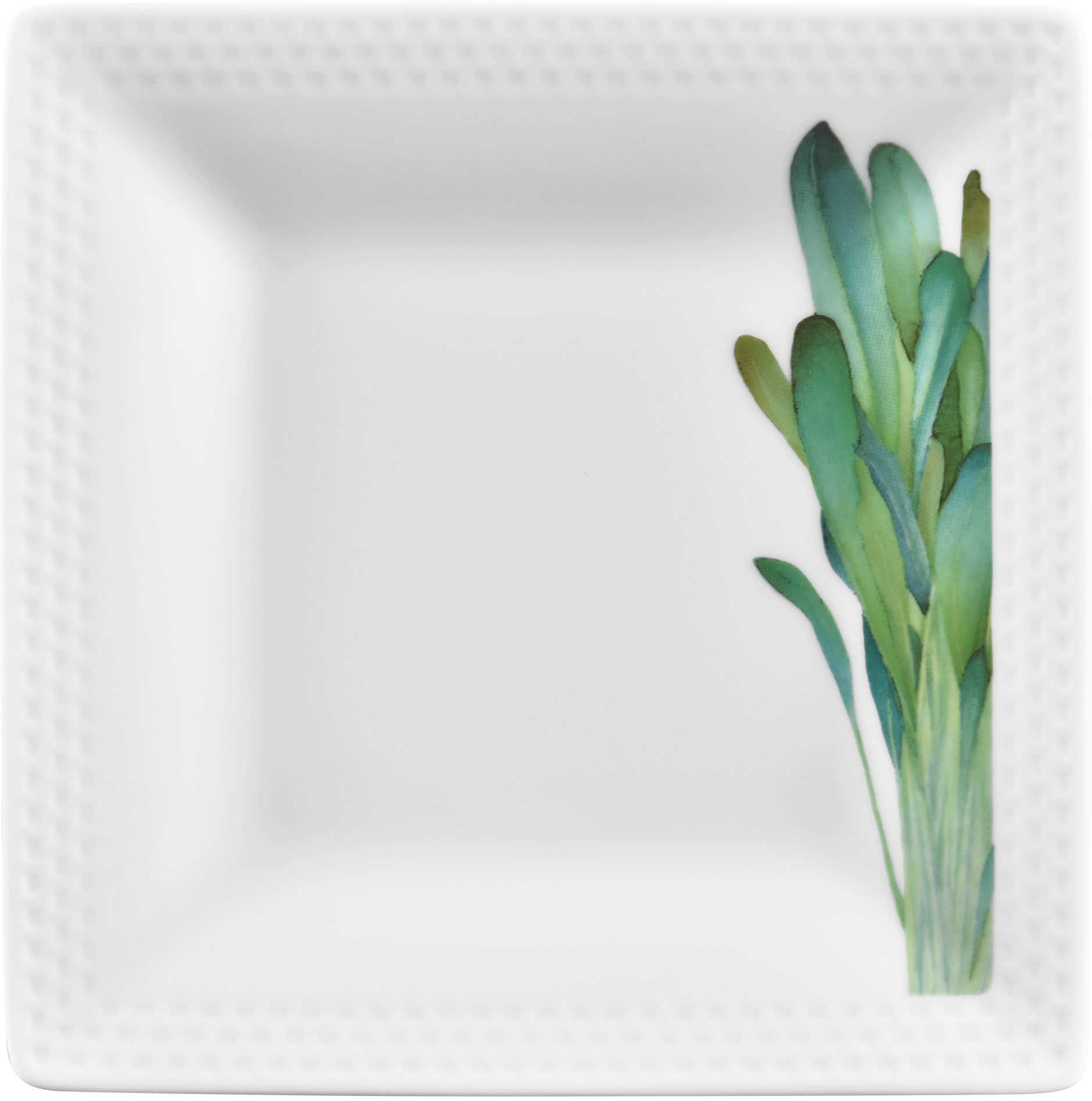 1620/2L Wild Mustard- 05340A/ Square Plate