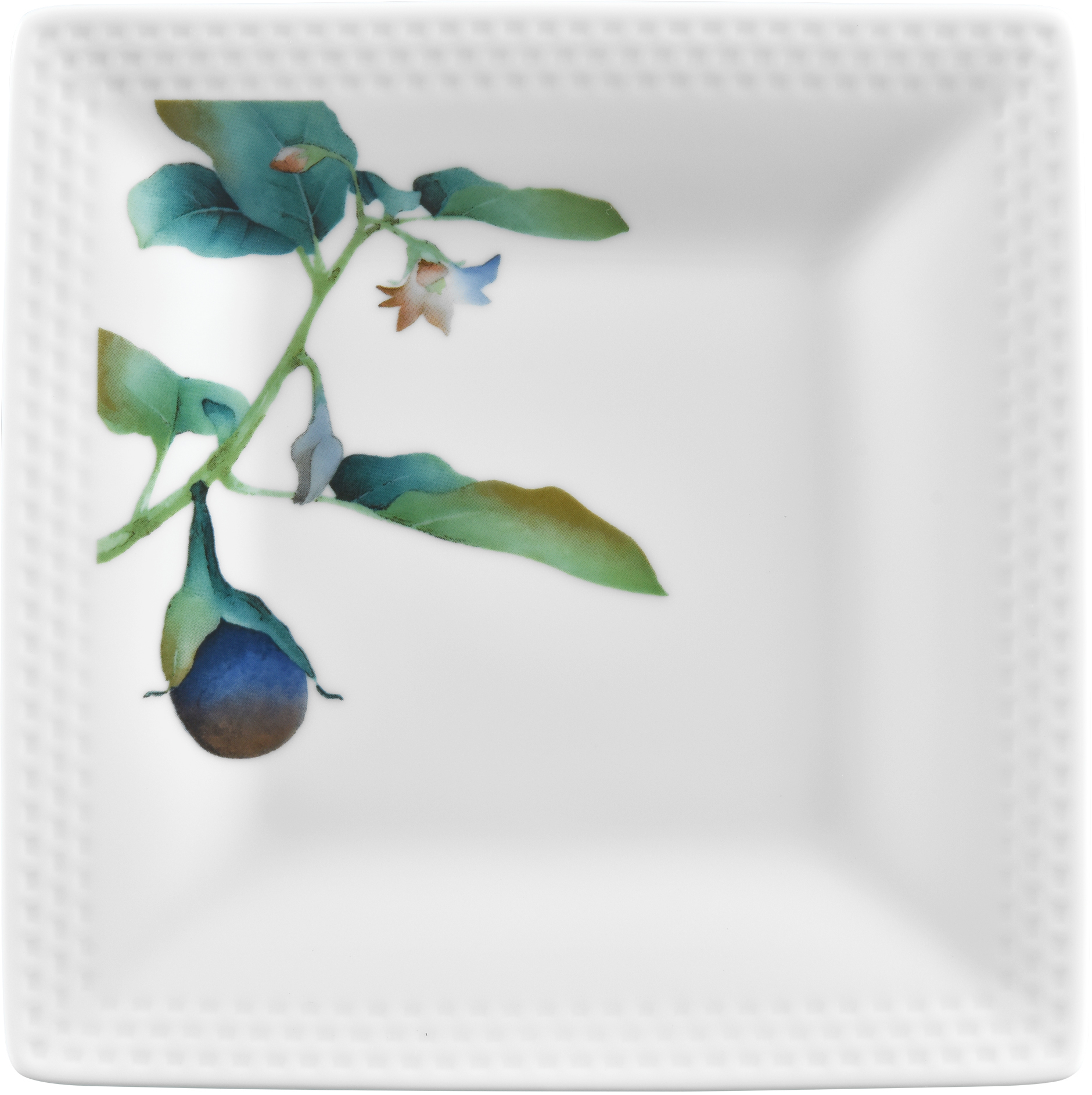 1620/5L Egg Plant- 05340A/ Square Plate