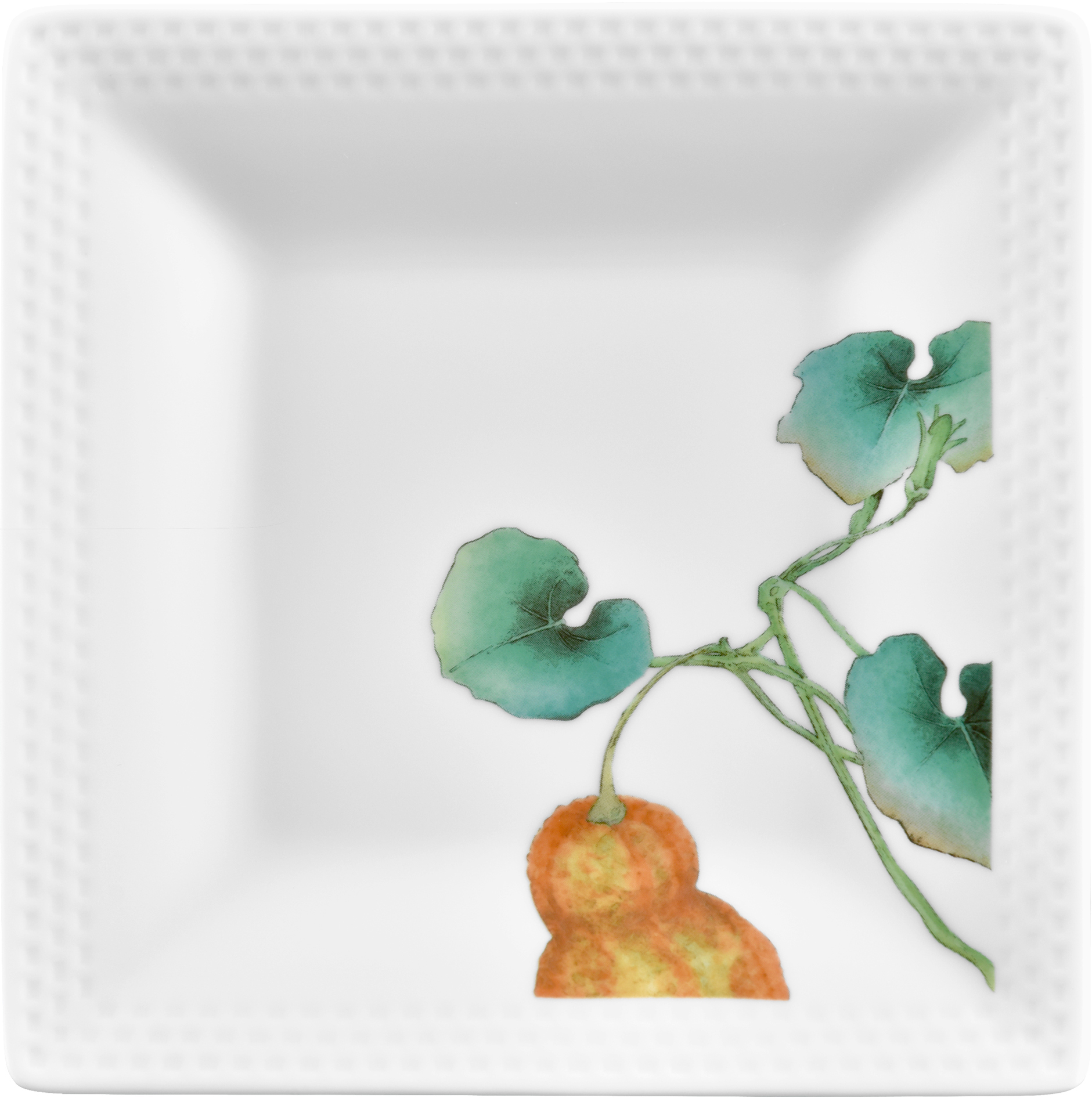 1620/6L Squash- 05340A/ Square Plate