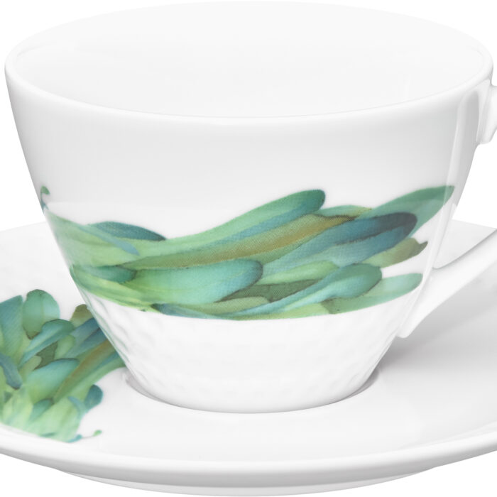 5389CL_5389SL _1620-2