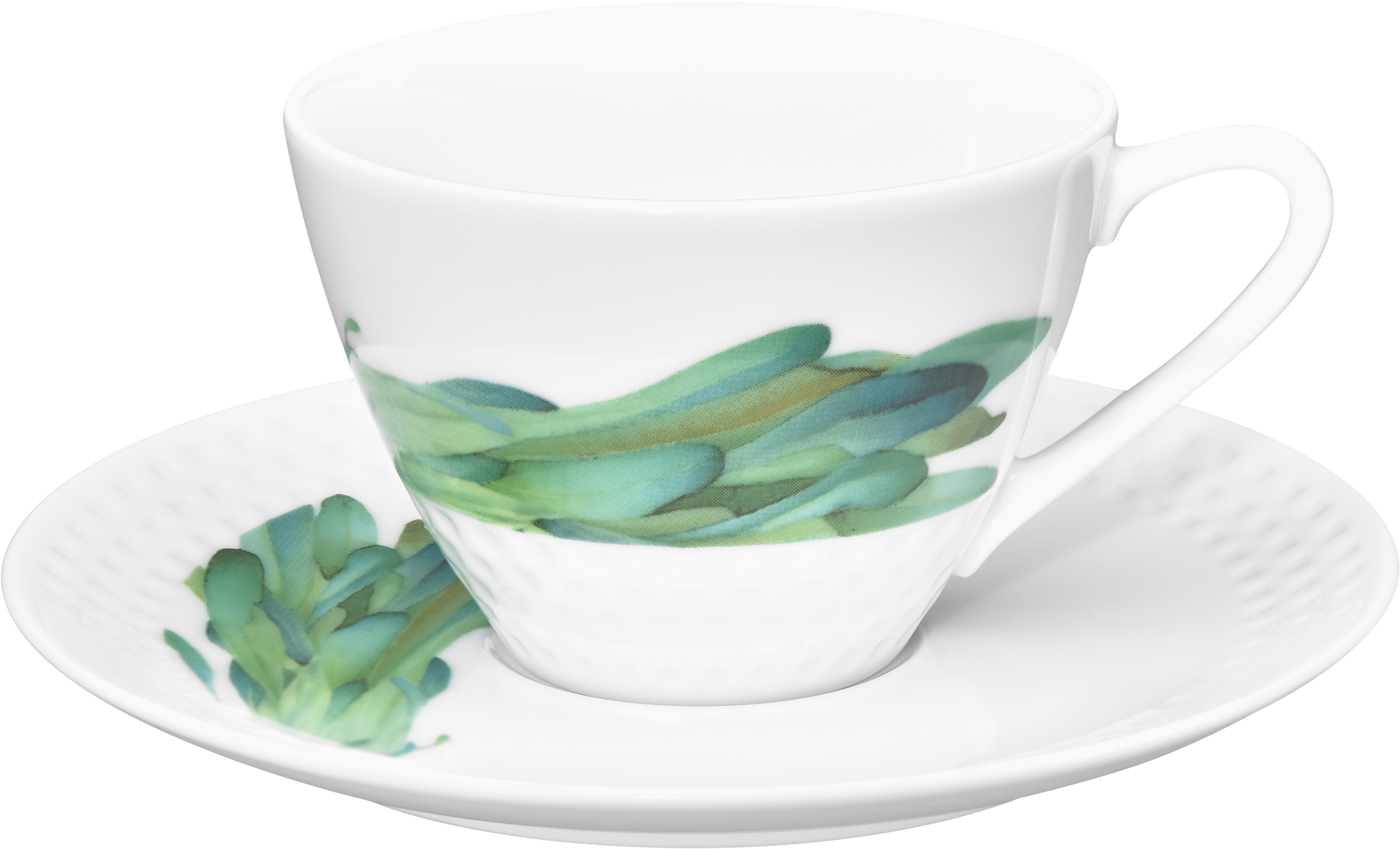 1620/2L Wild Mustard-05389CL/ Cup- 05389SL/ Saucer