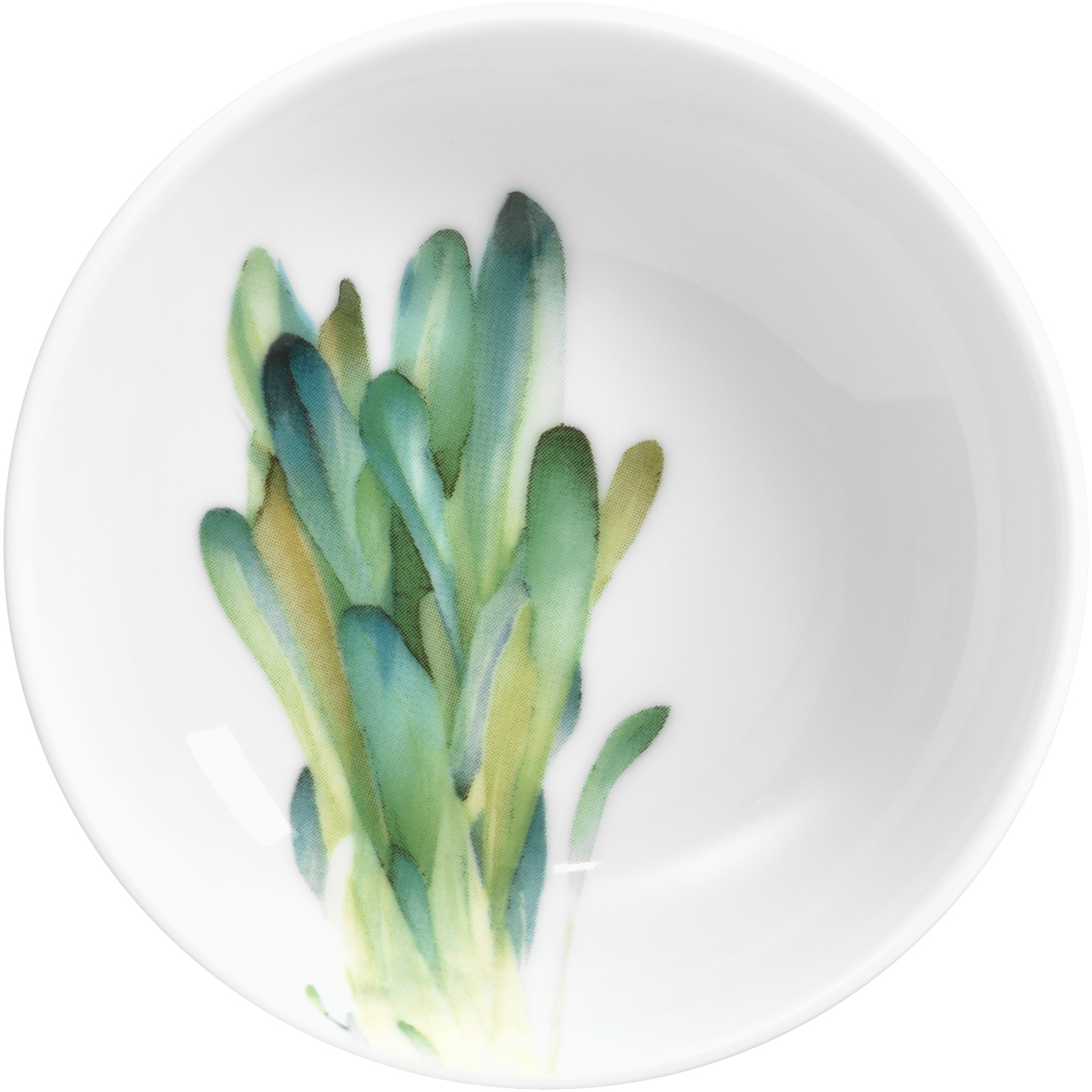 1620/2L Wild Mustard- 91419/ Small Dish