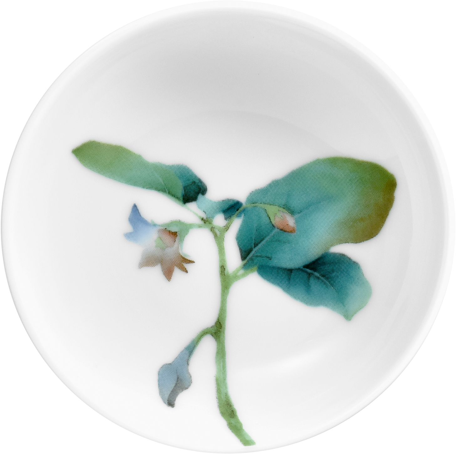 1620/5L Egg Plant- 91419/ Small Dish