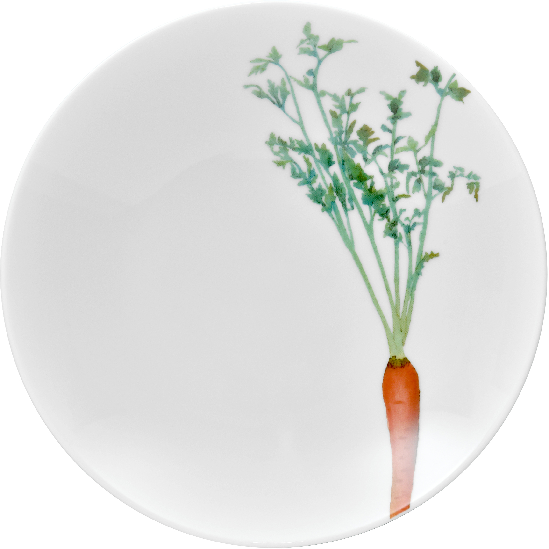 1620/3L Carrot- 91802/ Deep Coupe Plate