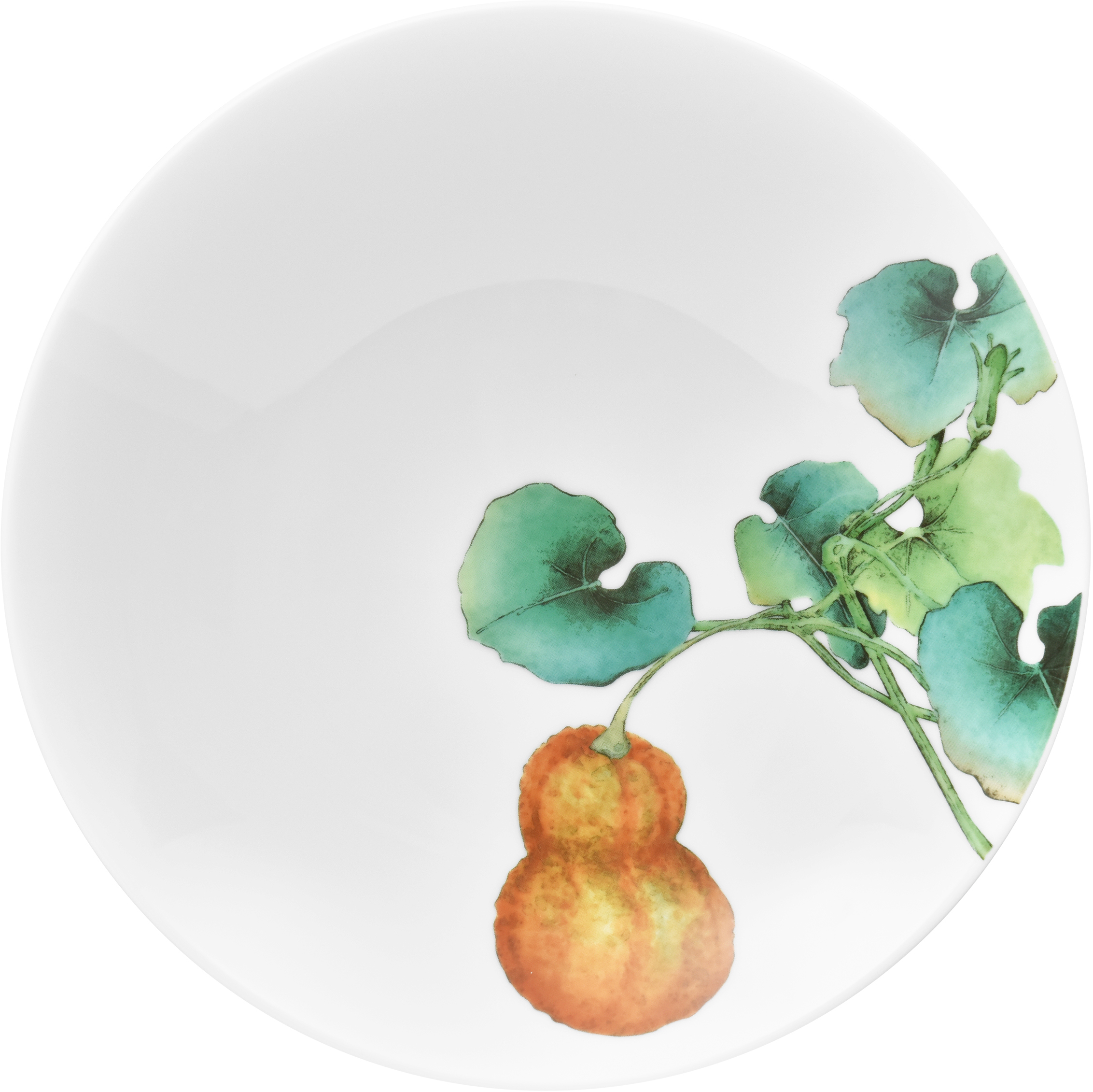 1620/6L Squash- 91802/ Deep Coupe Plate