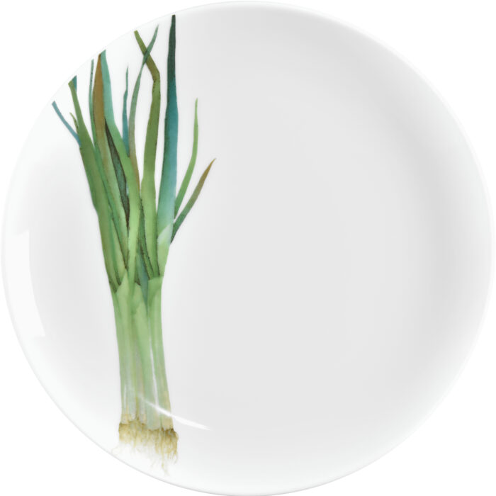 91816_1620-1 91816_1620-1