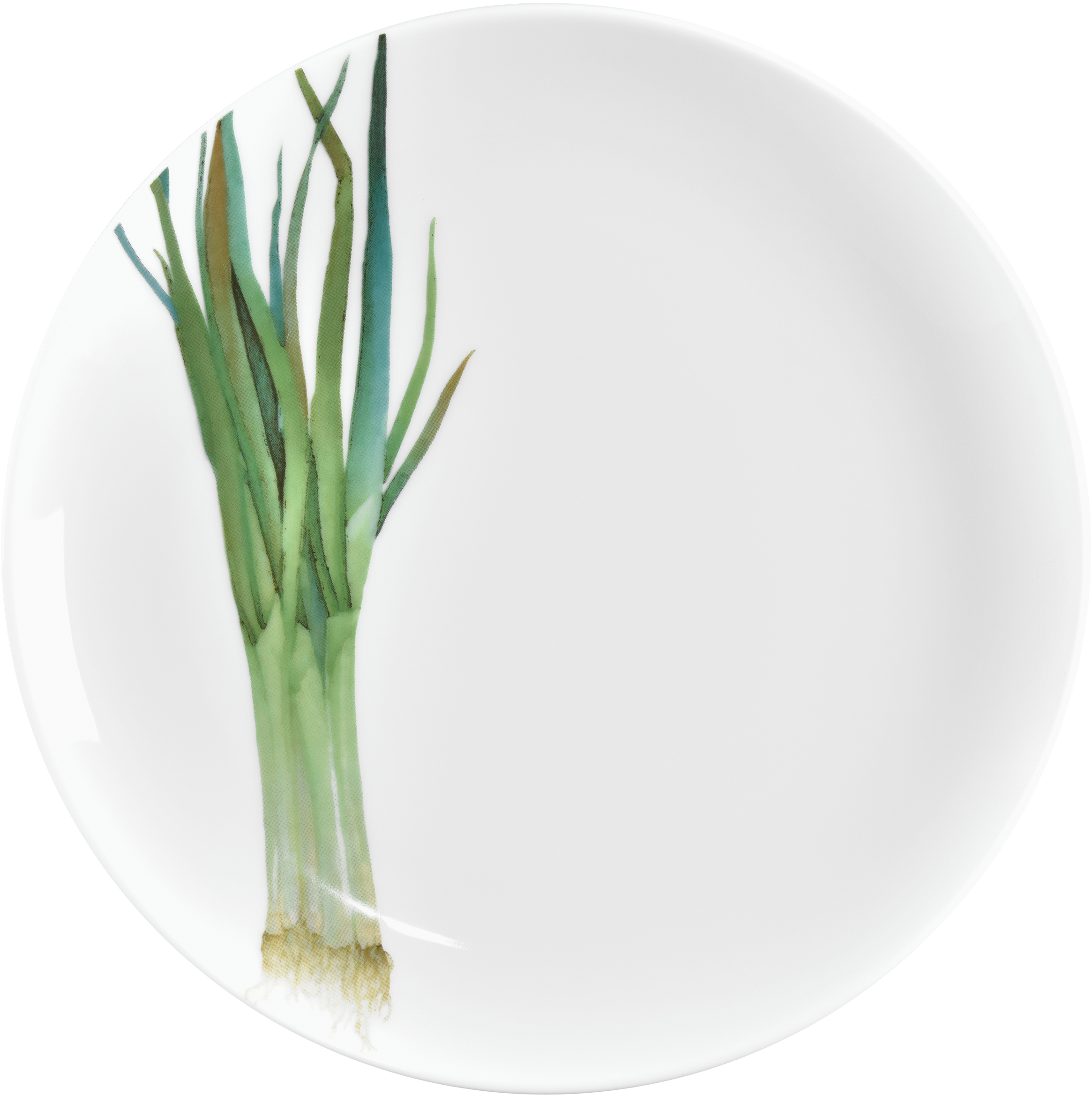 1620/1L Long Green Onion- 91816/ Coupe Salad/ Accent Salad