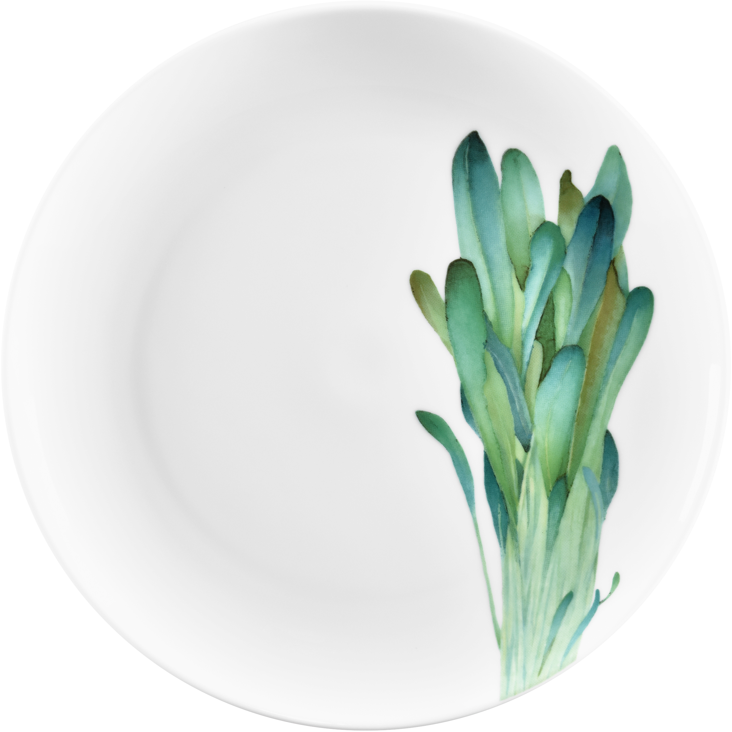 1620/2L Wild Mustard- 91816/ Coupe Salad/ Accent Salad