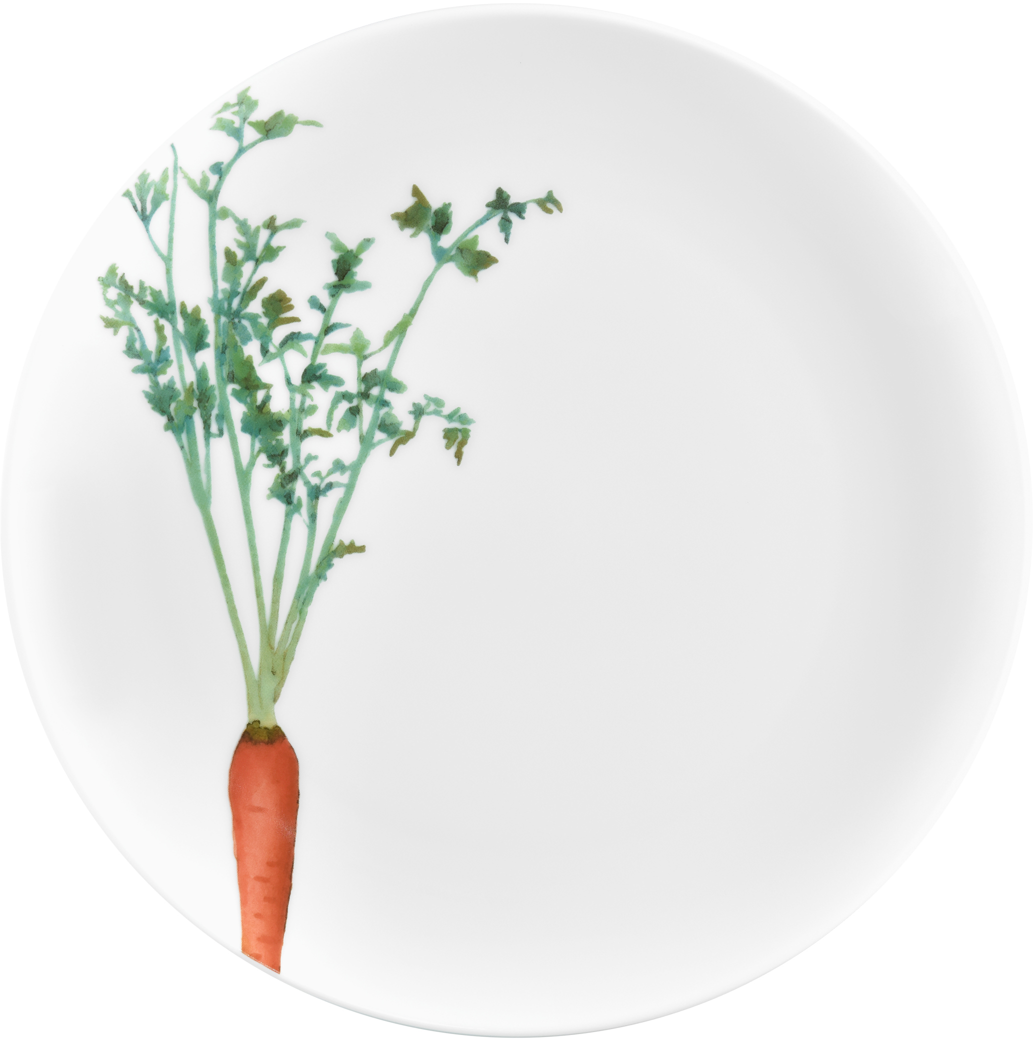 1620/3L Carrot- 91816/ Coupe Salad/ Accent Salad
