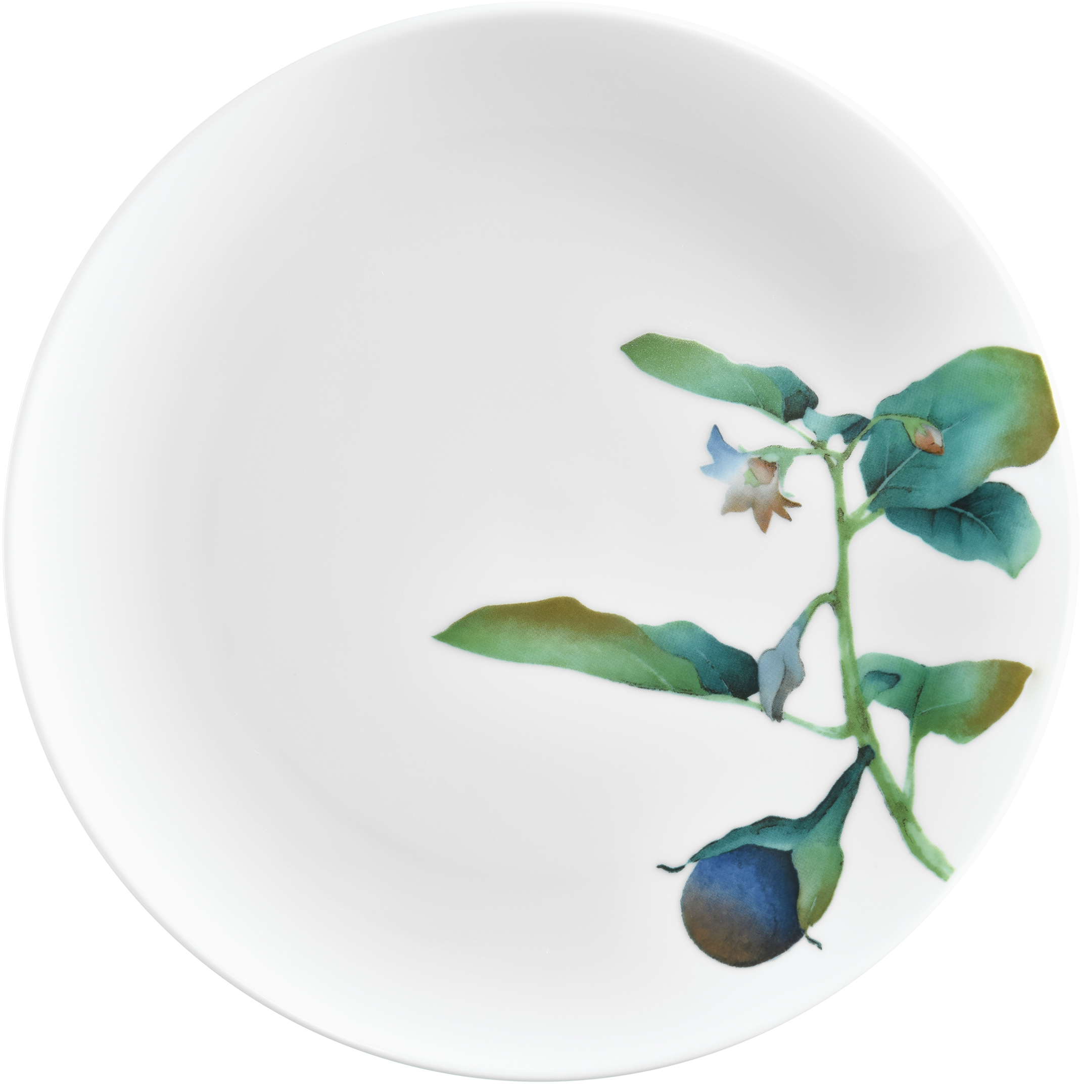 1620/5L Egg Plant- 91816/ Coupe Salad/ Accent Salad