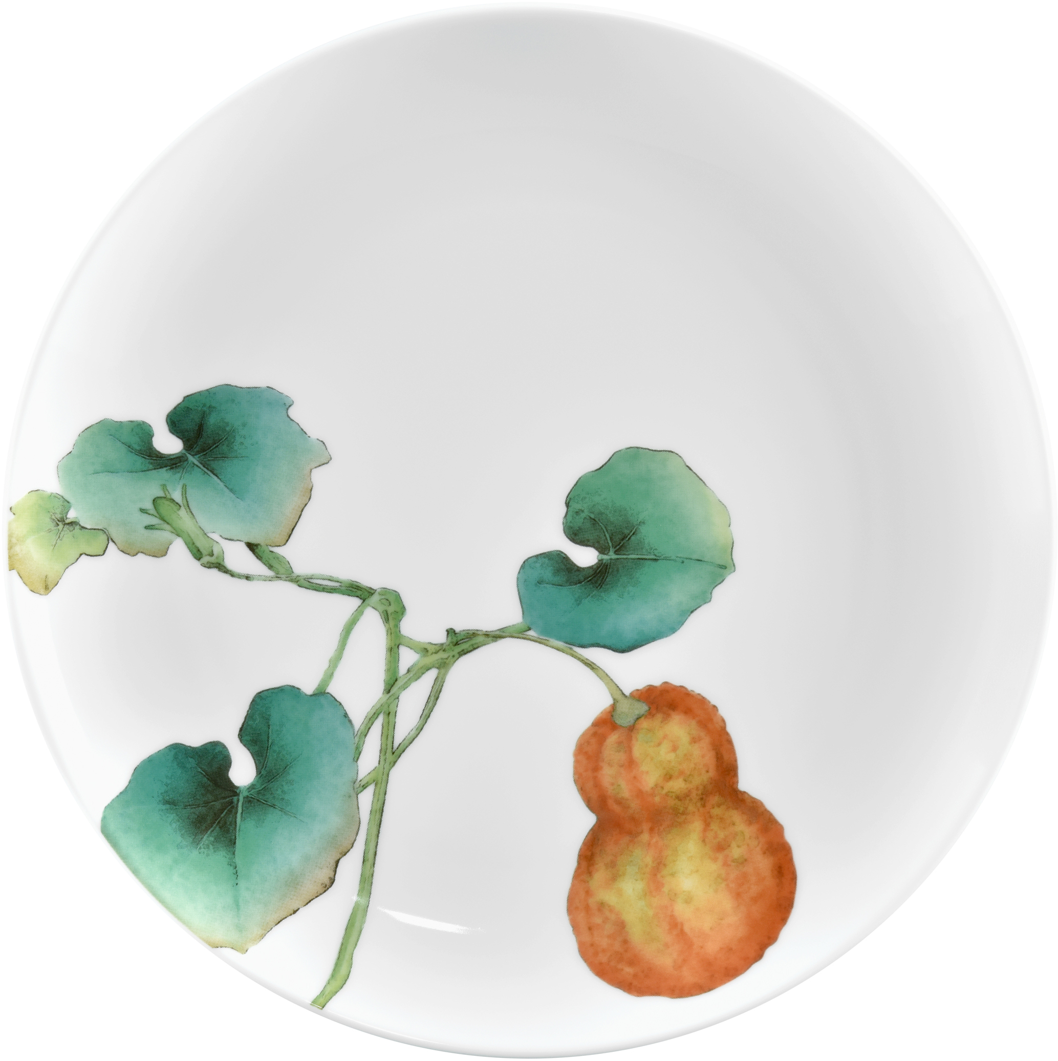 1620/6L Squash- 91816/ Coupe Salad/ Accent Salad