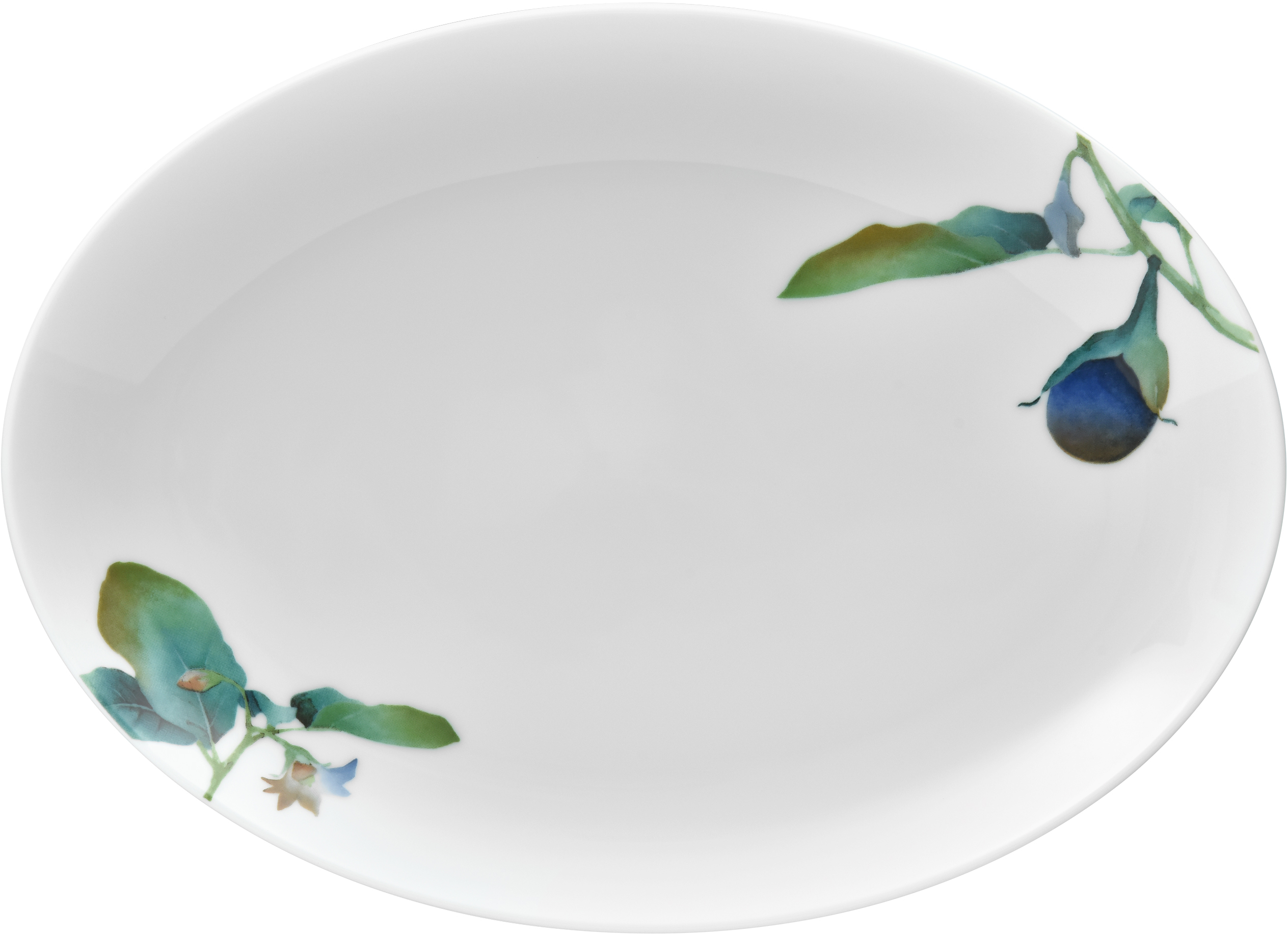 1620/5L Egg Plant- 91846/ Oval Coupe Plate