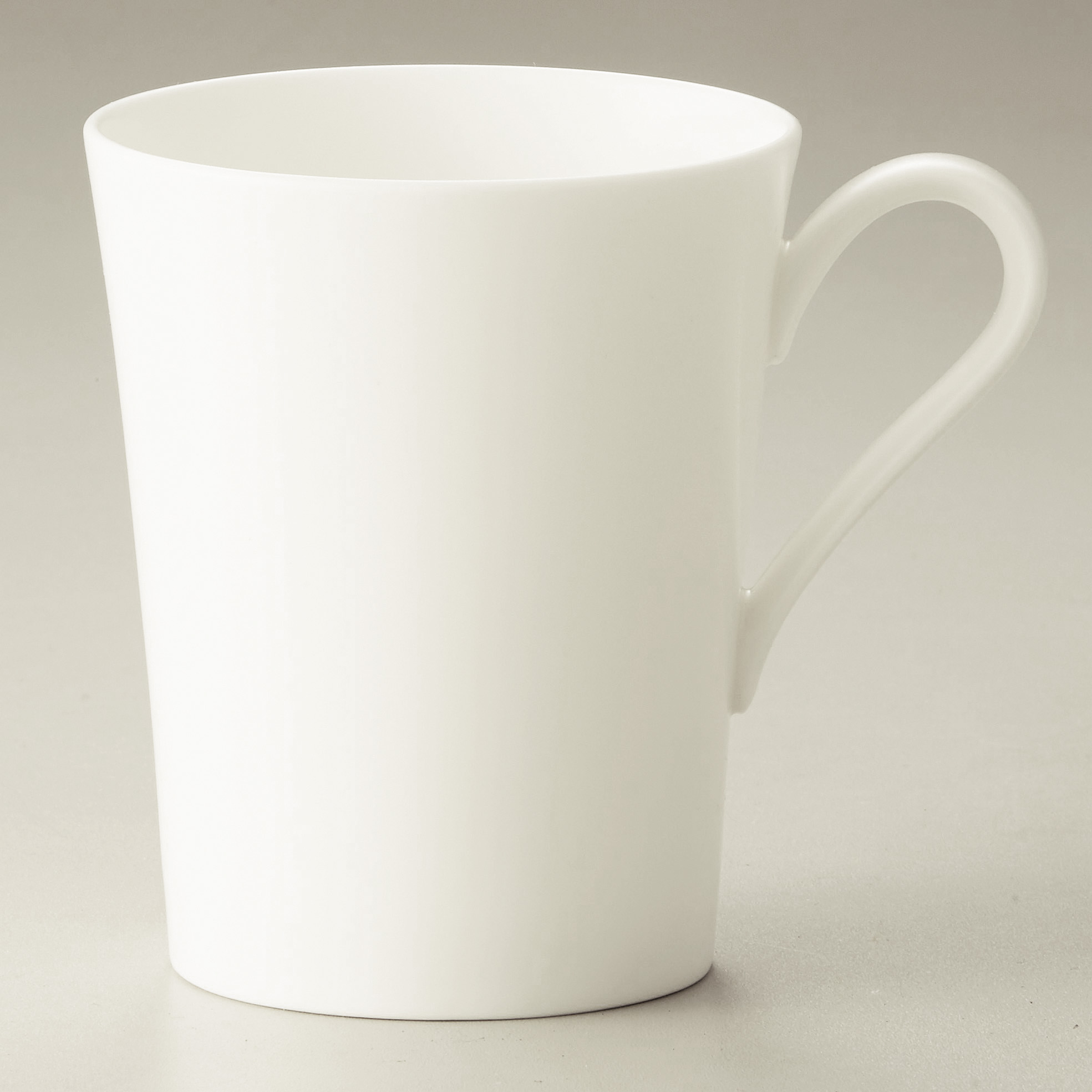 4955/93755C Mug (Plain)