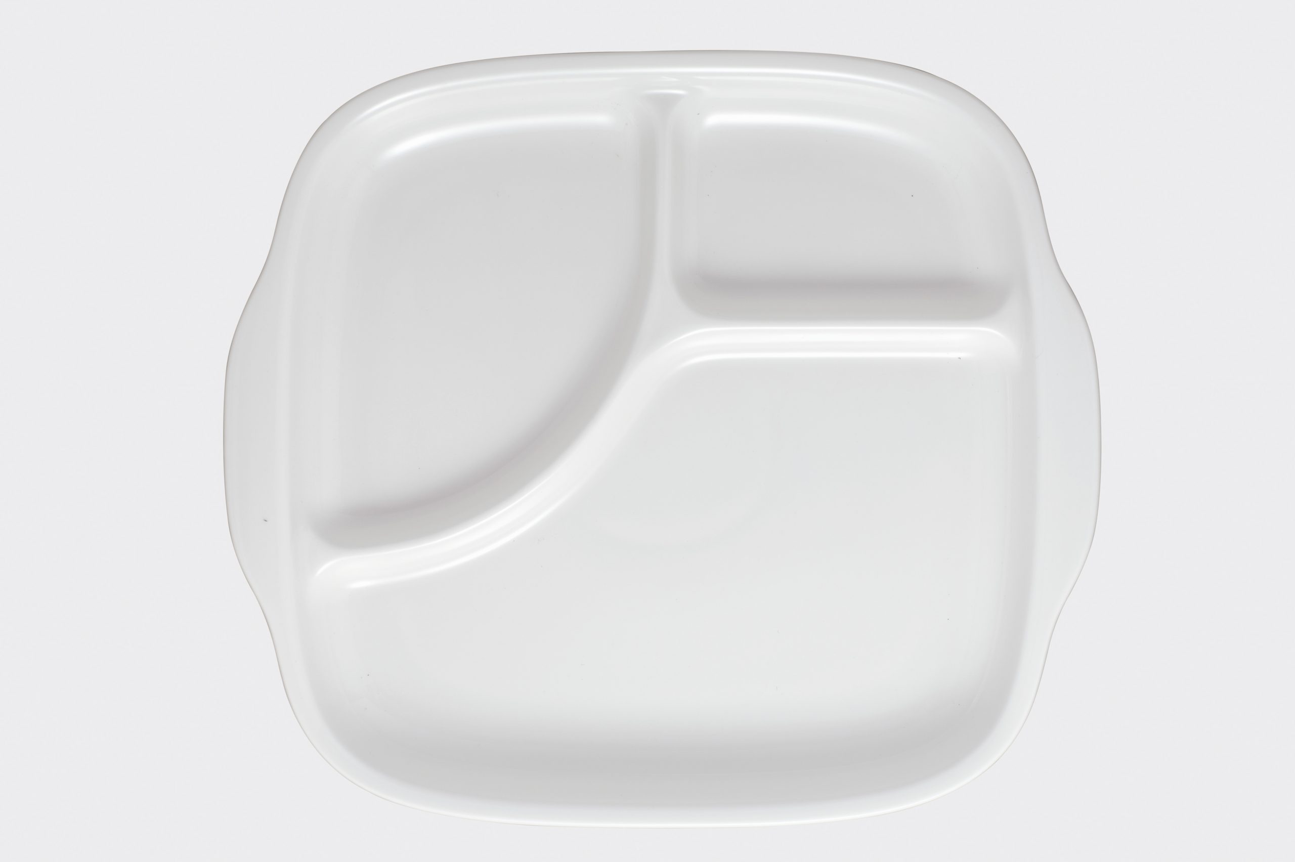 9459L/95801 Divided Plate