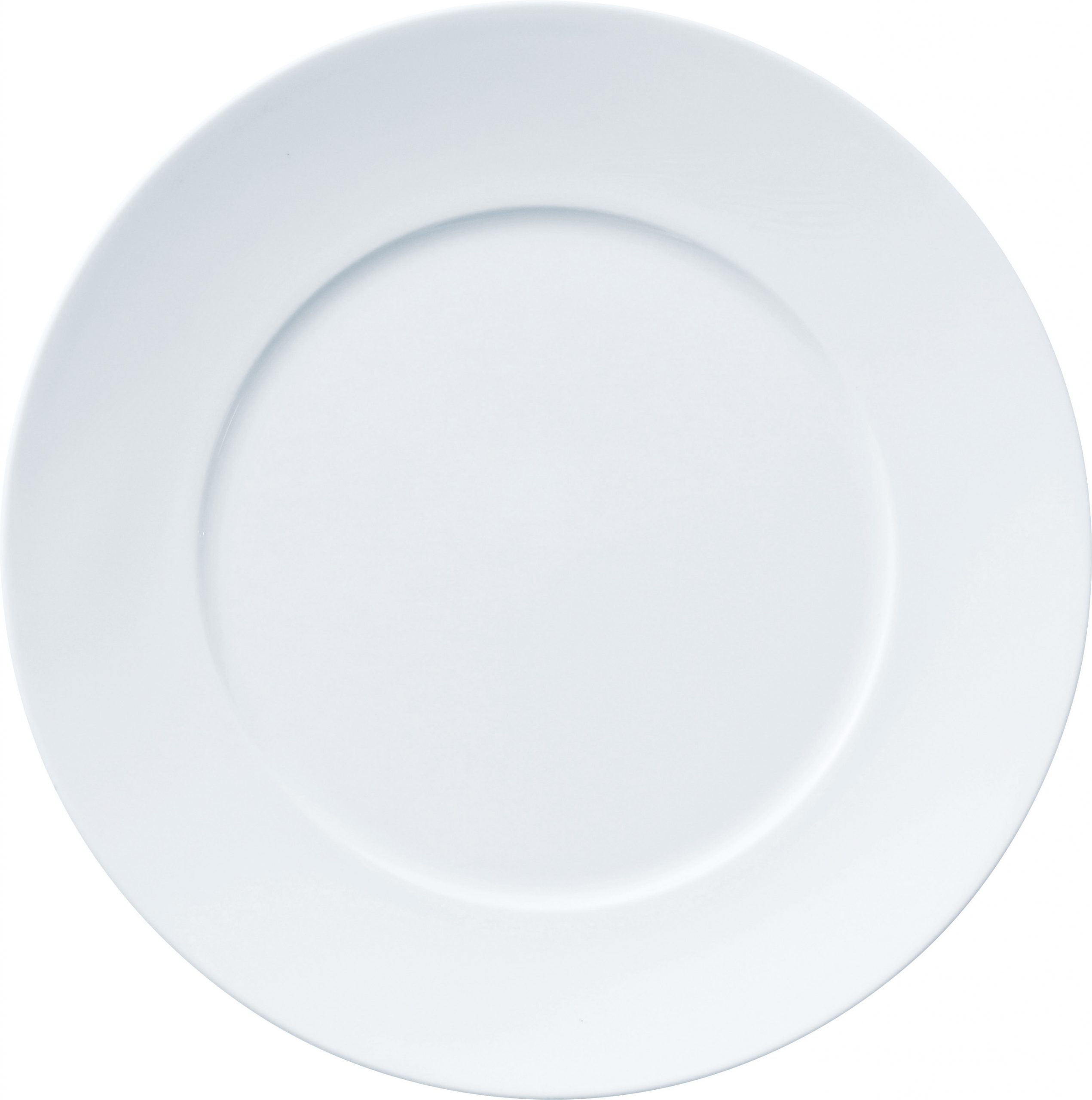 1657/94901 Dinner Plate(Narrow Rim)
