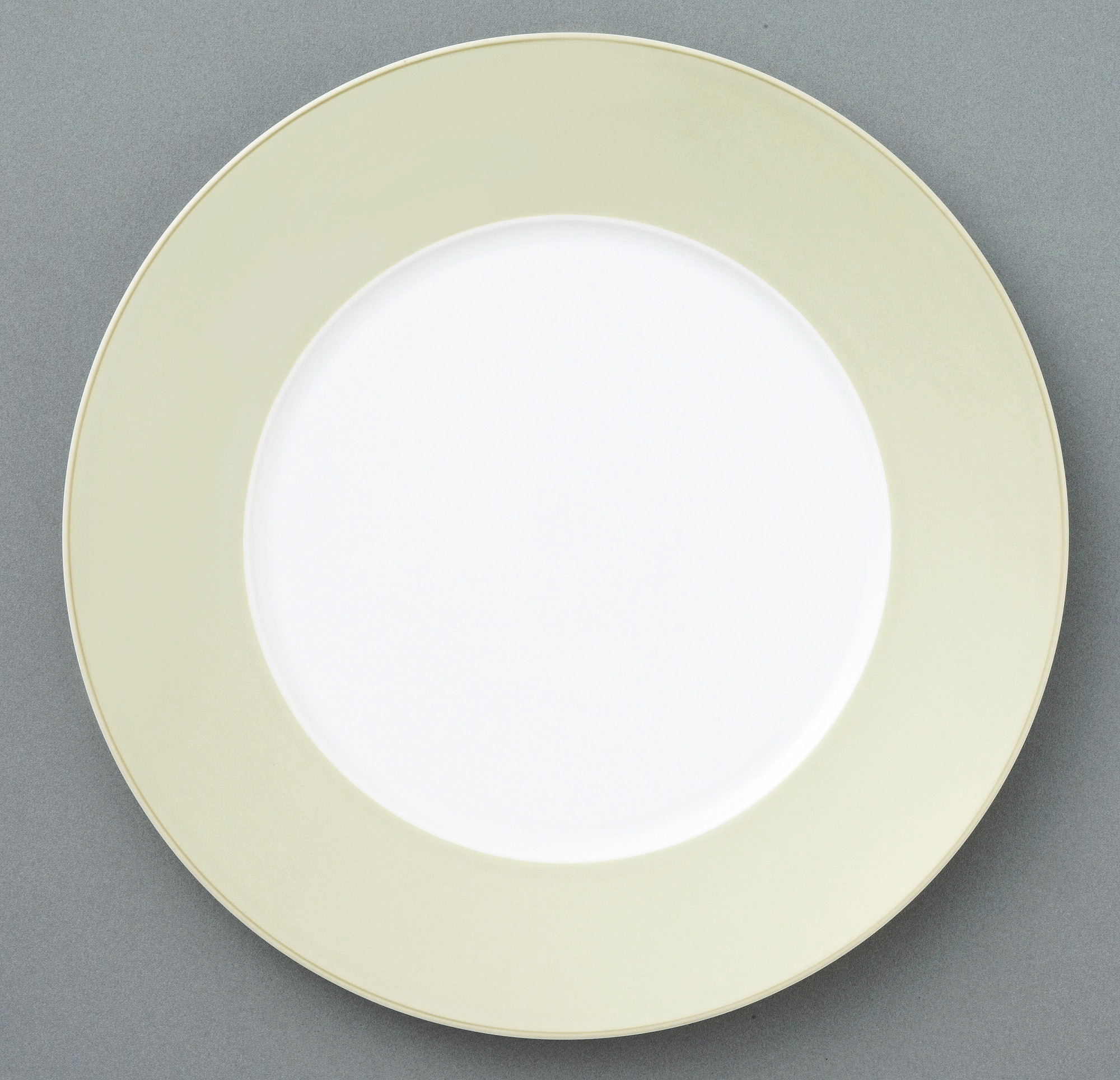 Alta Oyster Pattern 1695/94901 Dinner Plate(Narrow Rim)