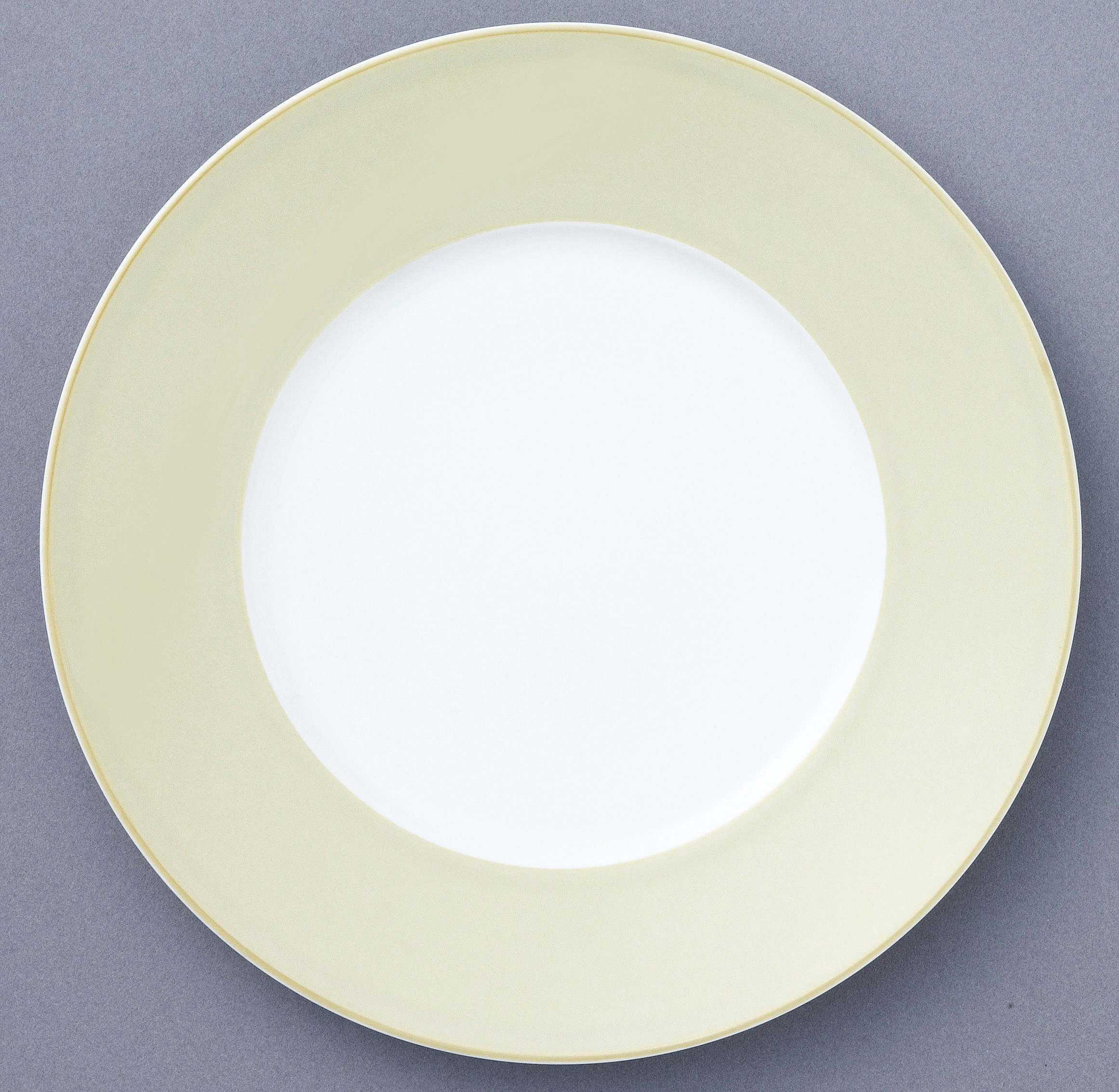 Alta Oyster Pattern 1695/94911 Salad Plate