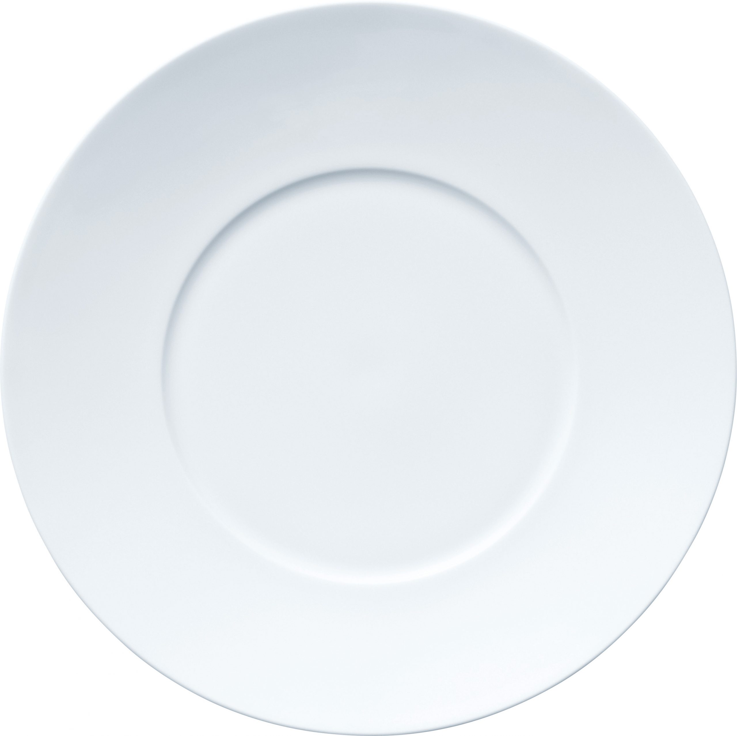 1657/94920 Dinner Plate(Wide Rim)