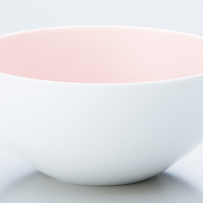 94976-1699-1 94976-1699-1