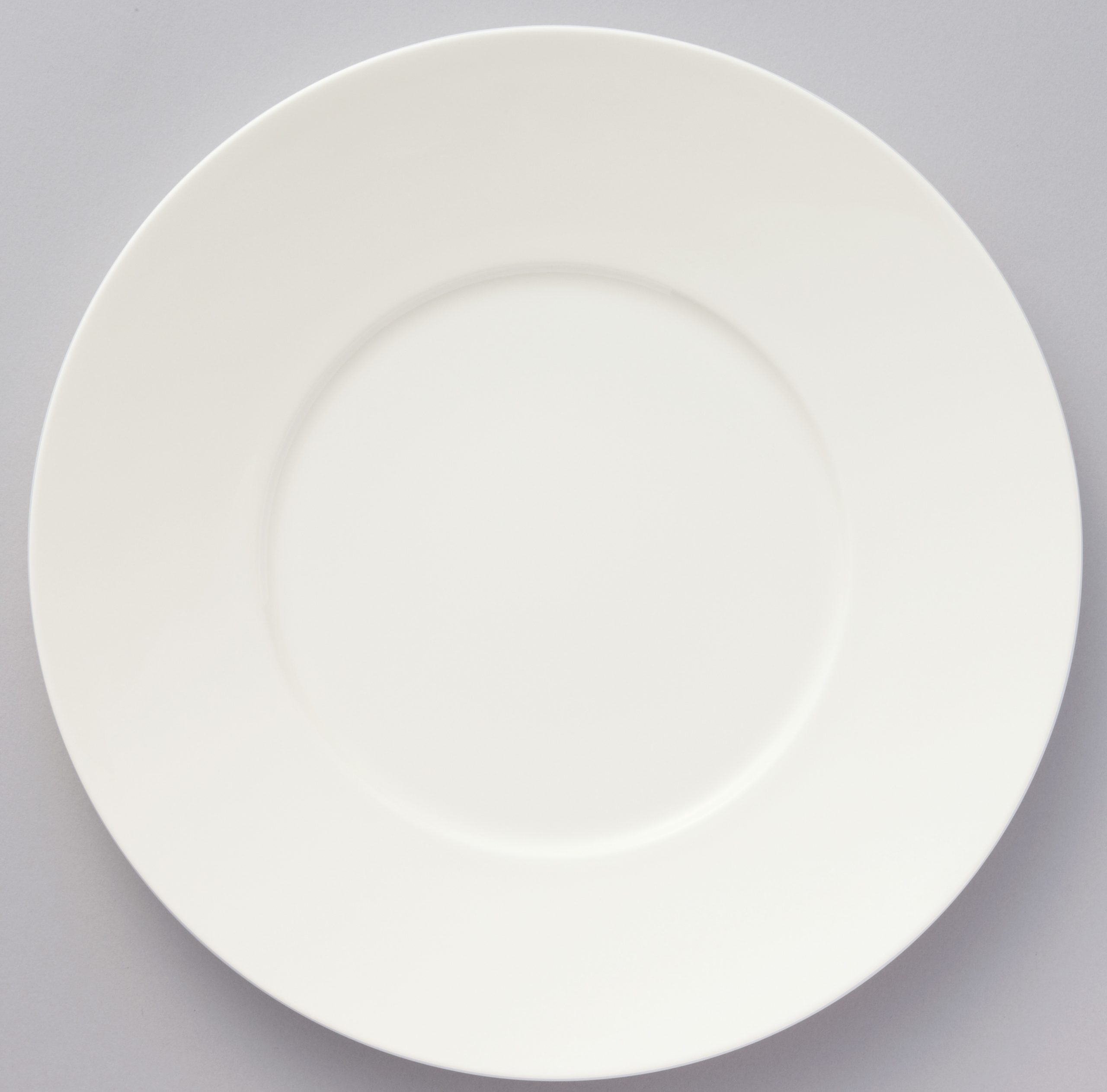 9990L/97520 Dinner Plate (Wide Rim)