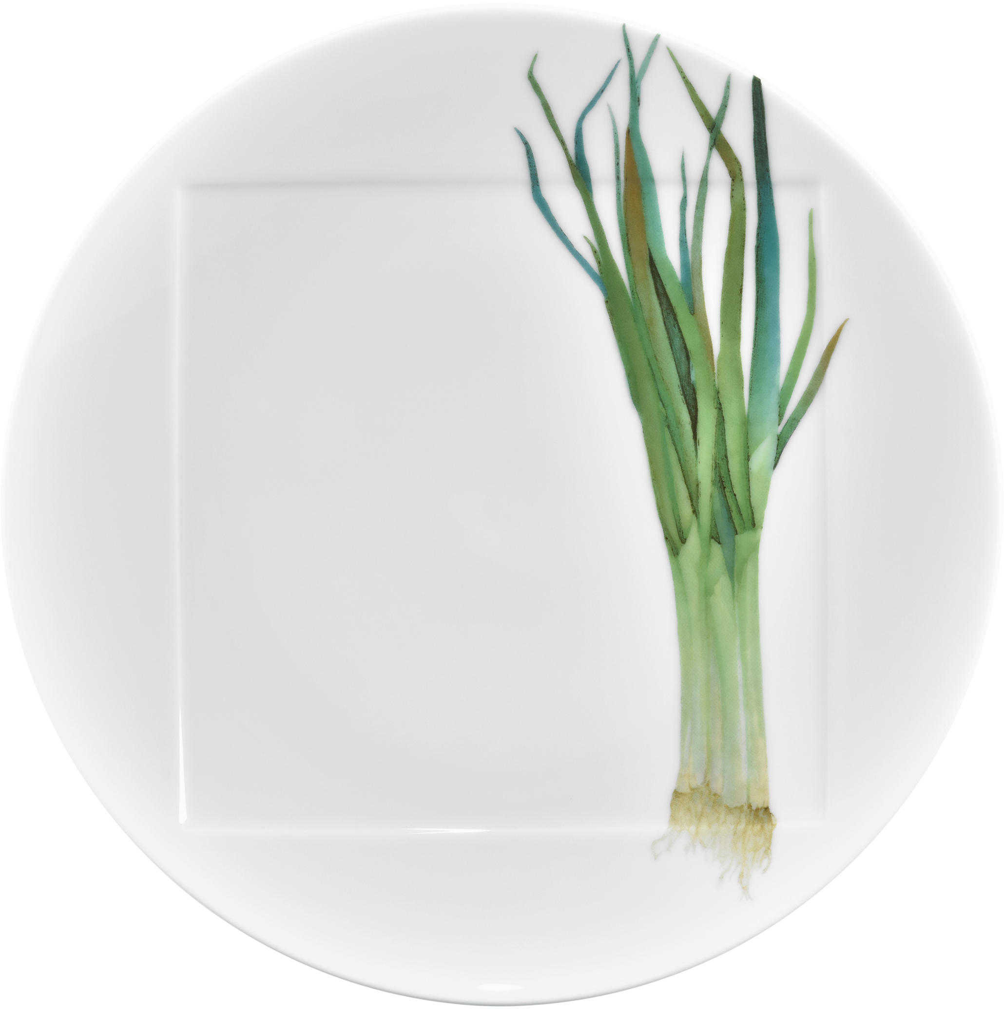 1620/1L Long Green Onion-09930A/ Coupe Dinner Plate