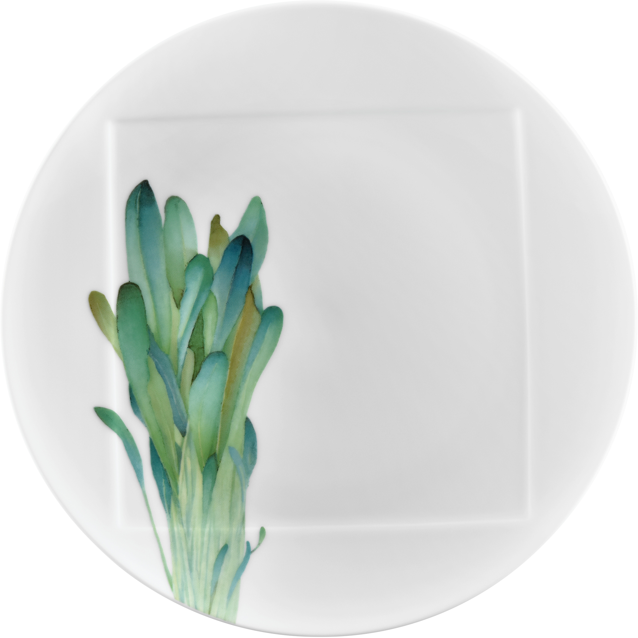 1620/2L Wild Mustard-09930A/ Coupe Dinner Plate