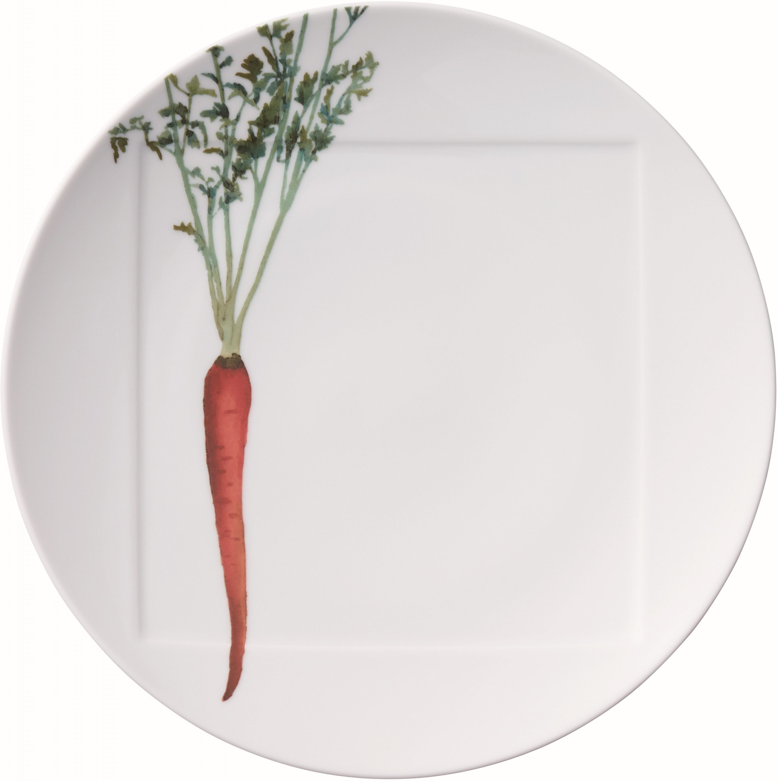 1620/3L Carrot-09930A/ Coupe Dinner Plate