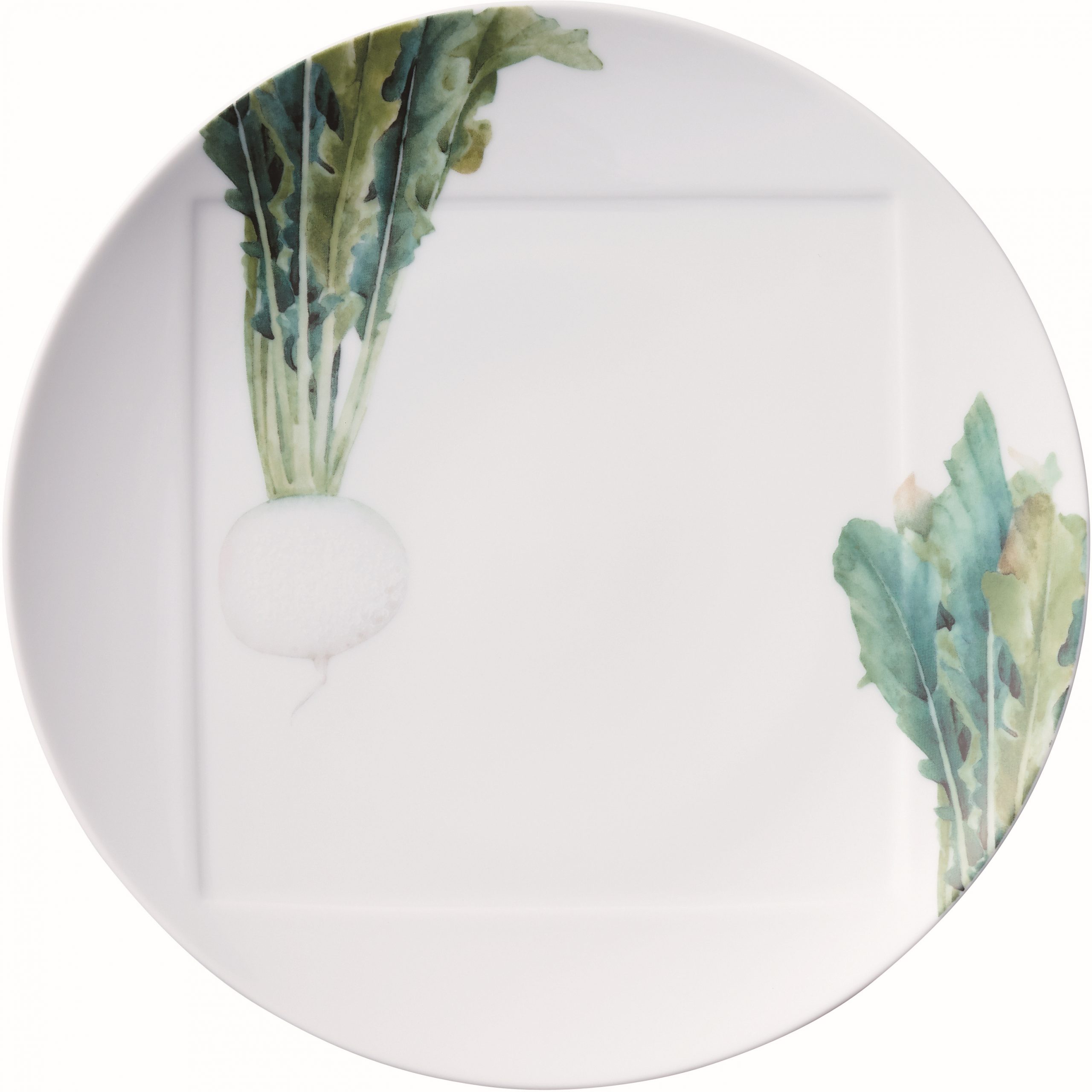 1620/7L Radish-09930A/ Coupe Dinner Plate