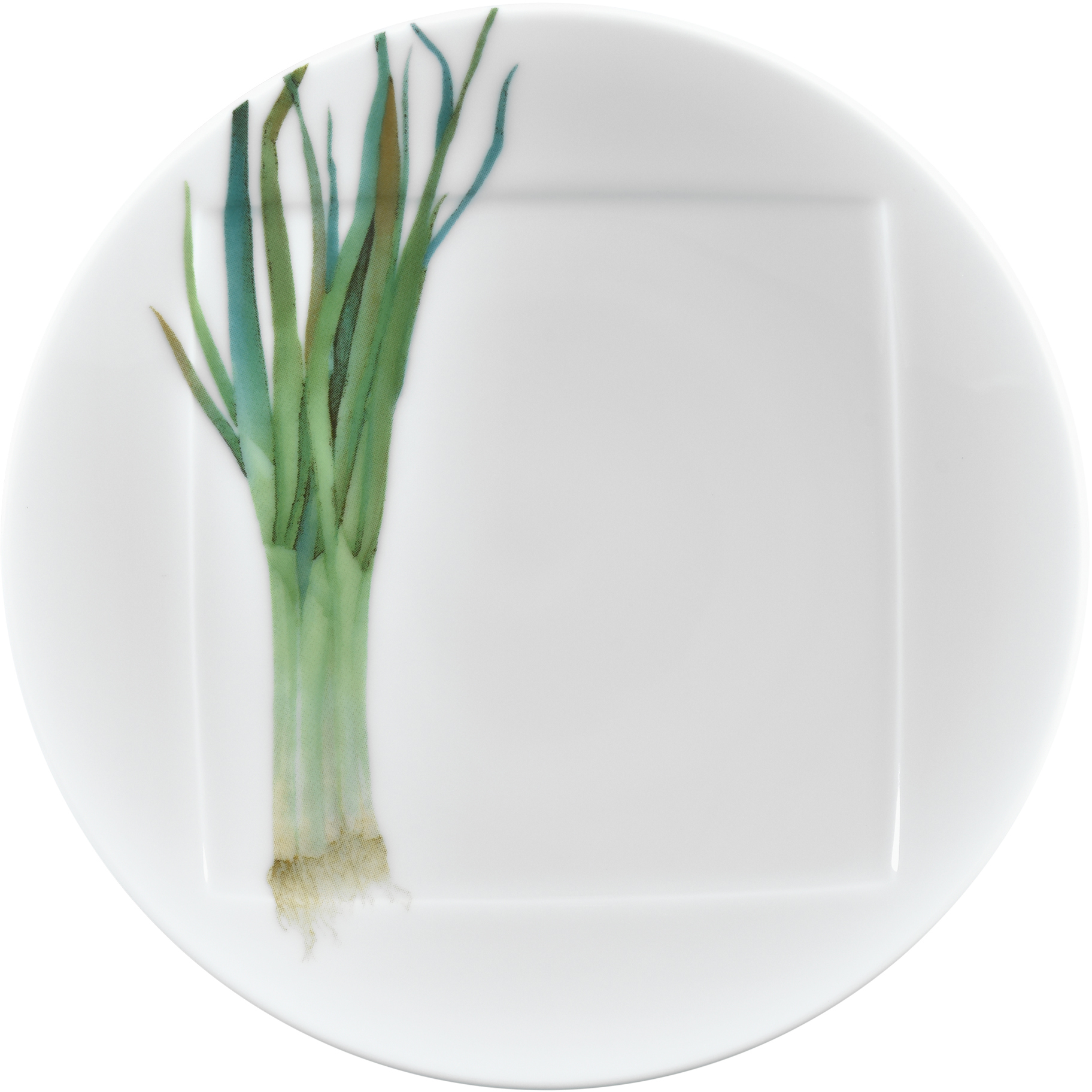 1620/1L Long Green Onion- 09931A/ Coupe Dinner Plate