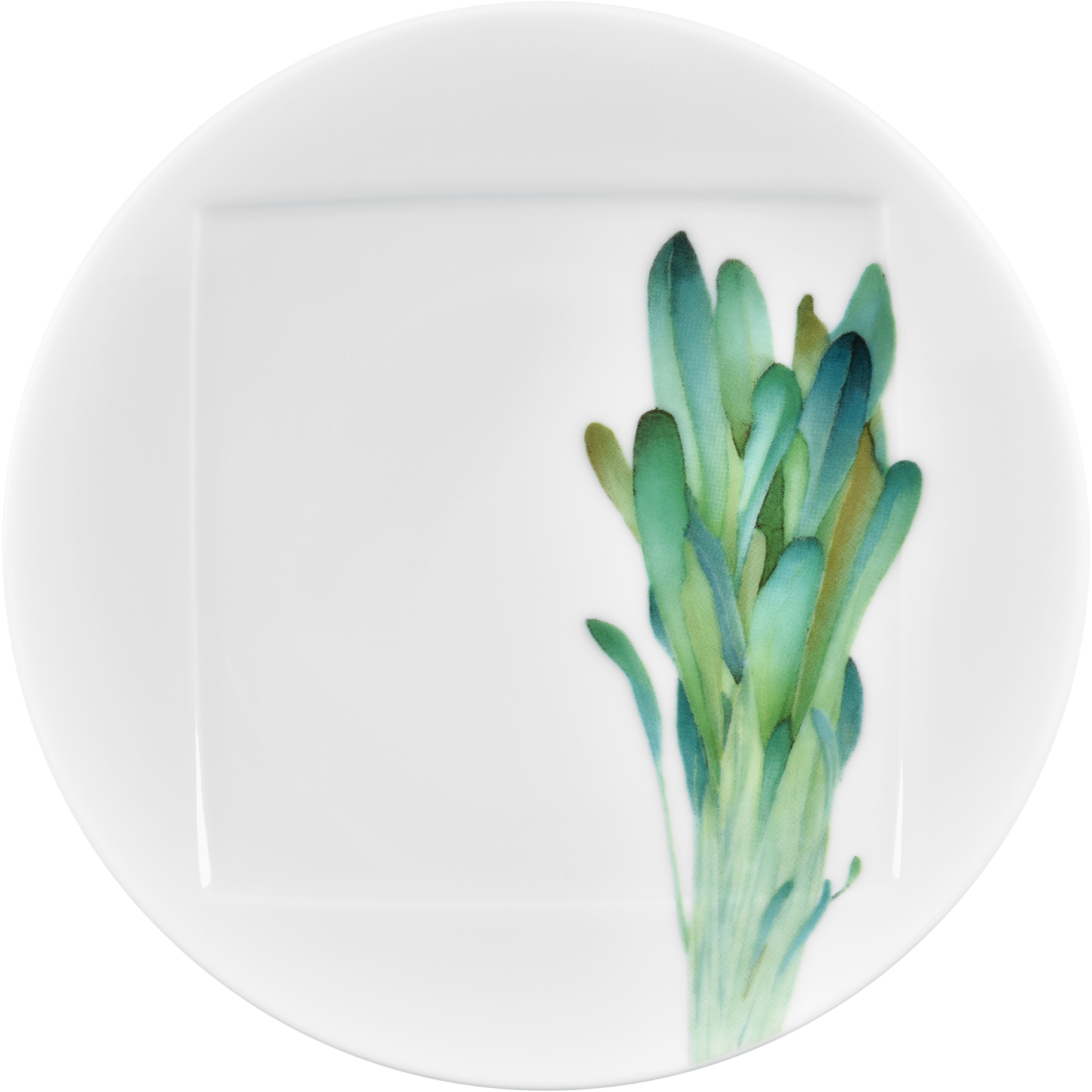 1620/2L Wild Mustard- 09931A/ Coupe Dinner Plate