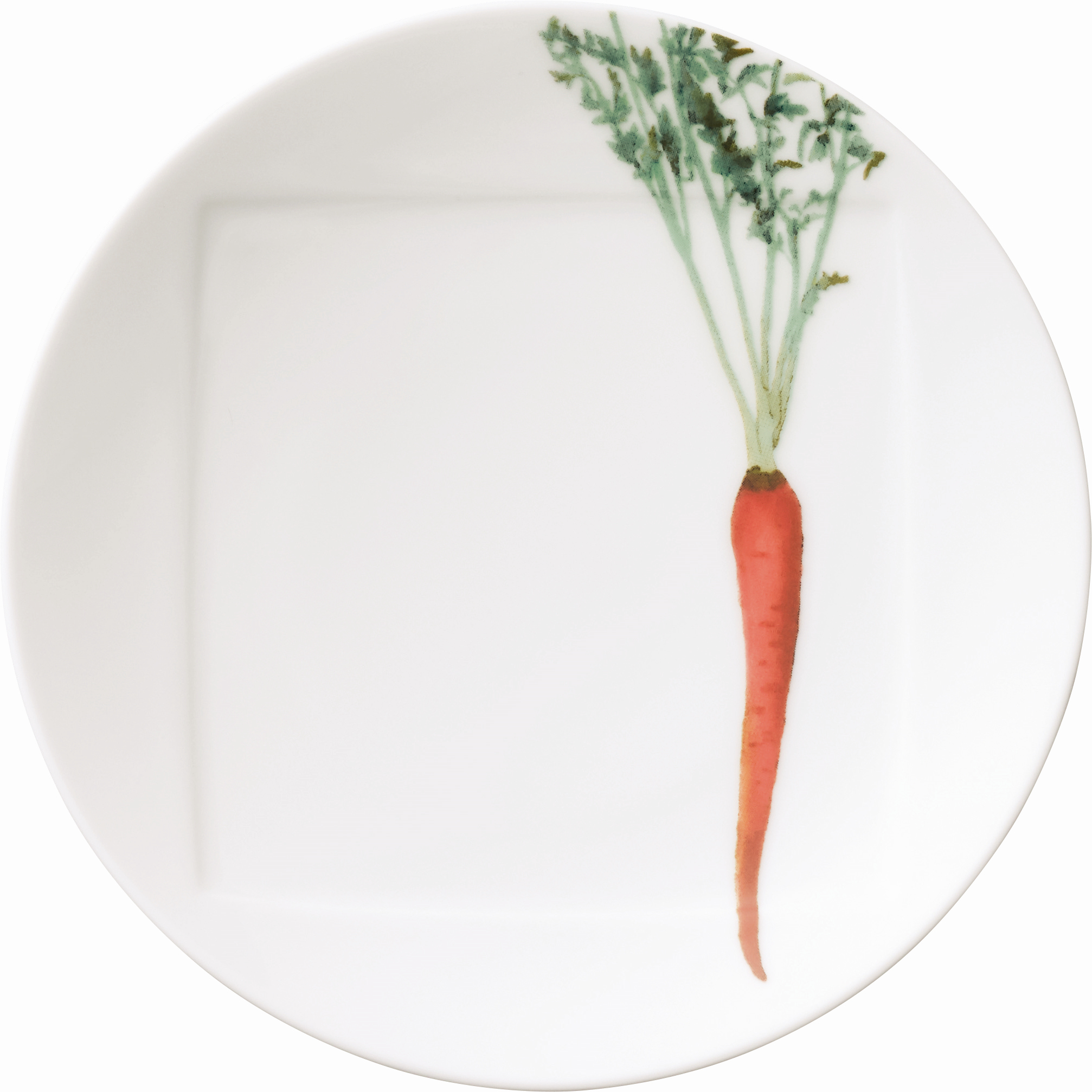 1620/3L Carrot- 09931A/ Coupe Dinner Plate