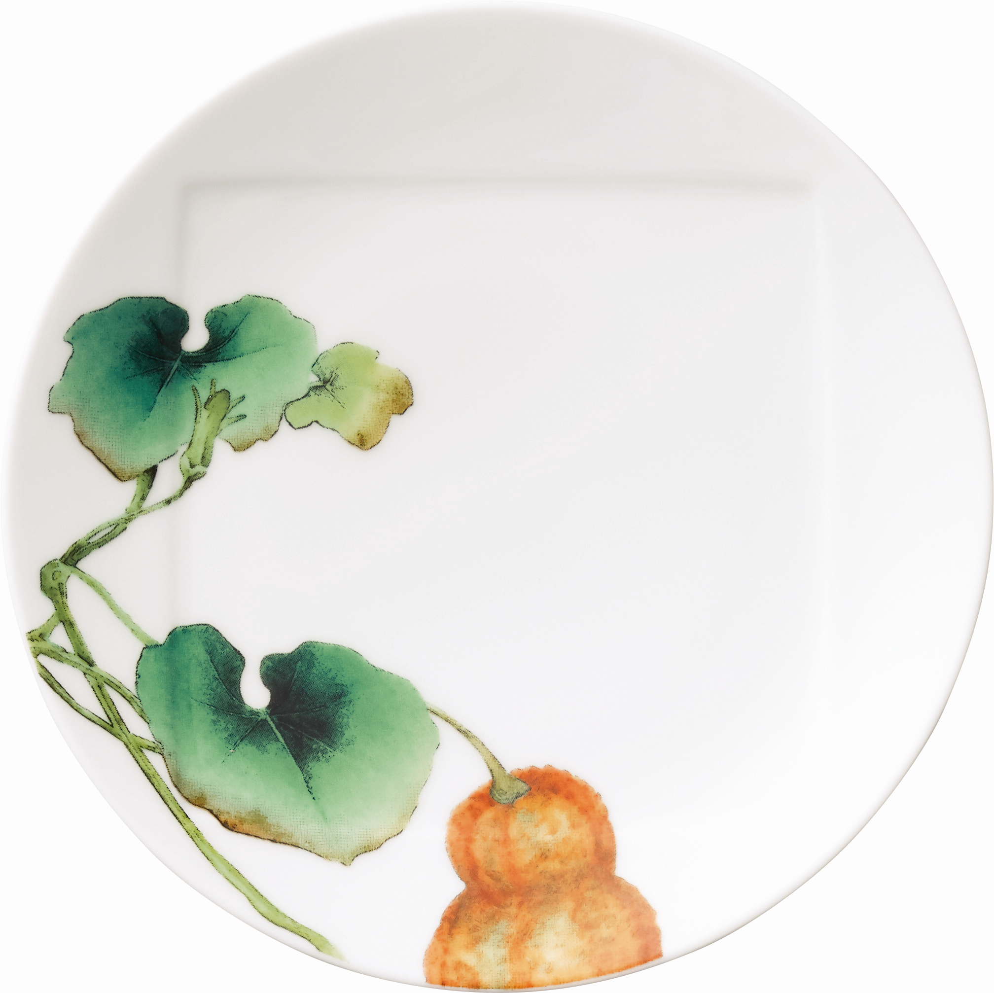 1620/6L Squash- 09931A/ Coupe Dinner Plate